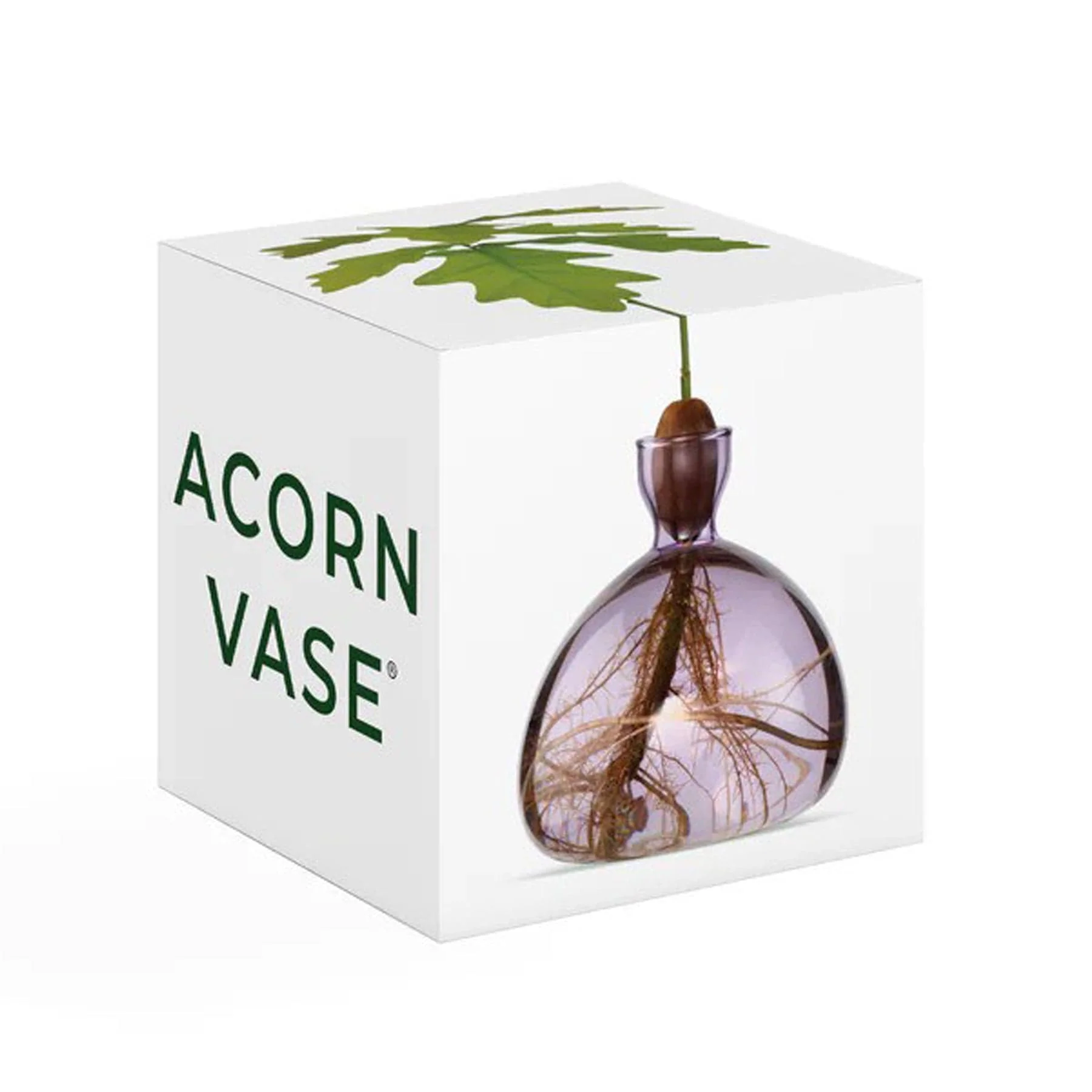 Acorn vase spring lilac - Image 2