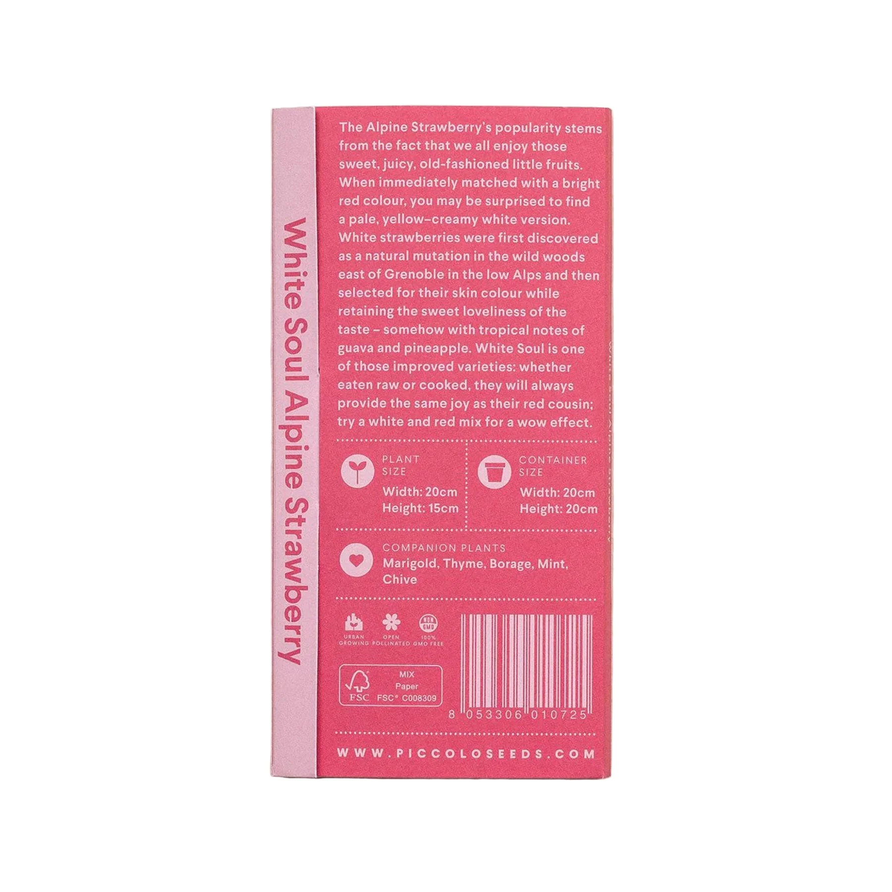 Alpine strawberry white soul seeds - Image 2