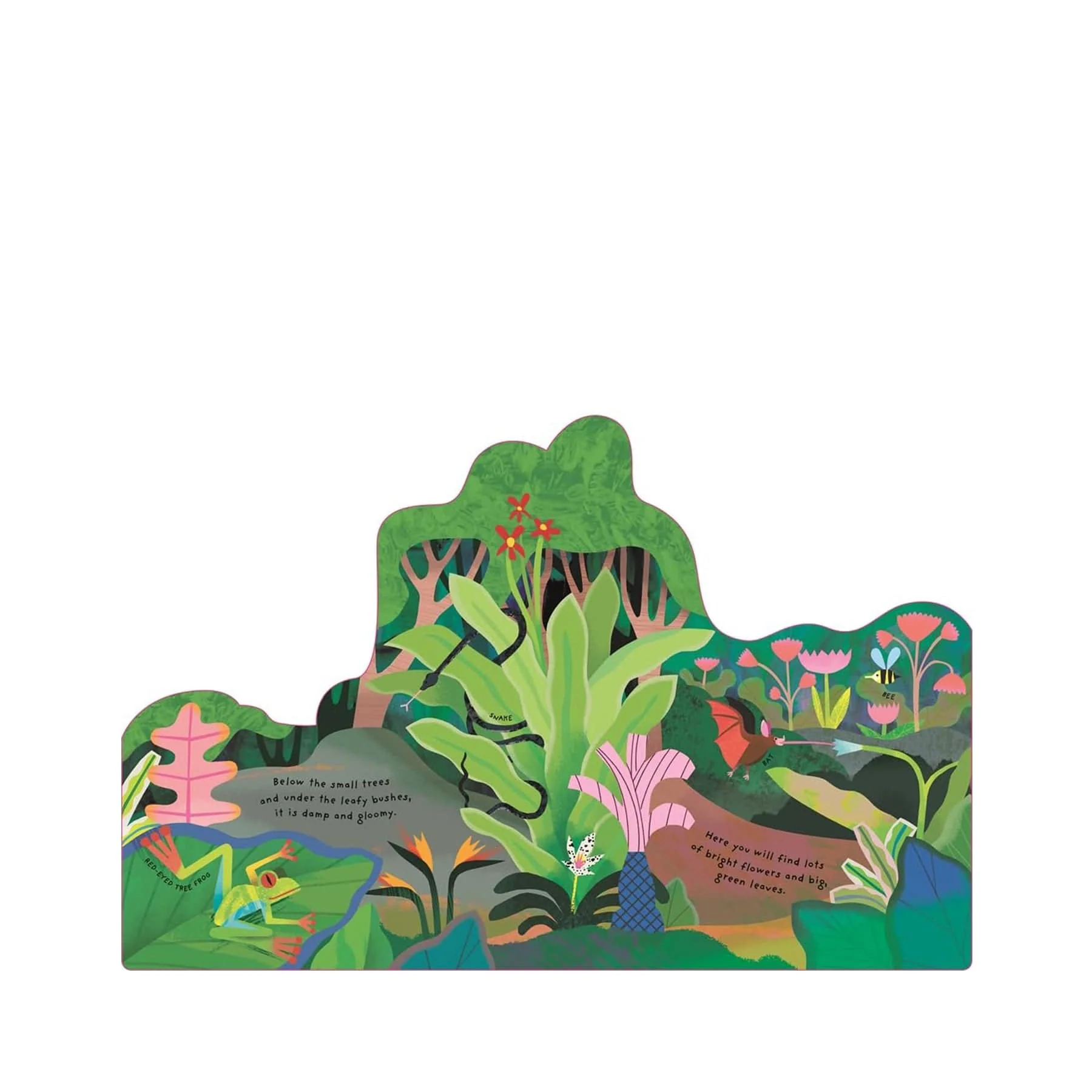 Animal homes: rainforest - Image 3