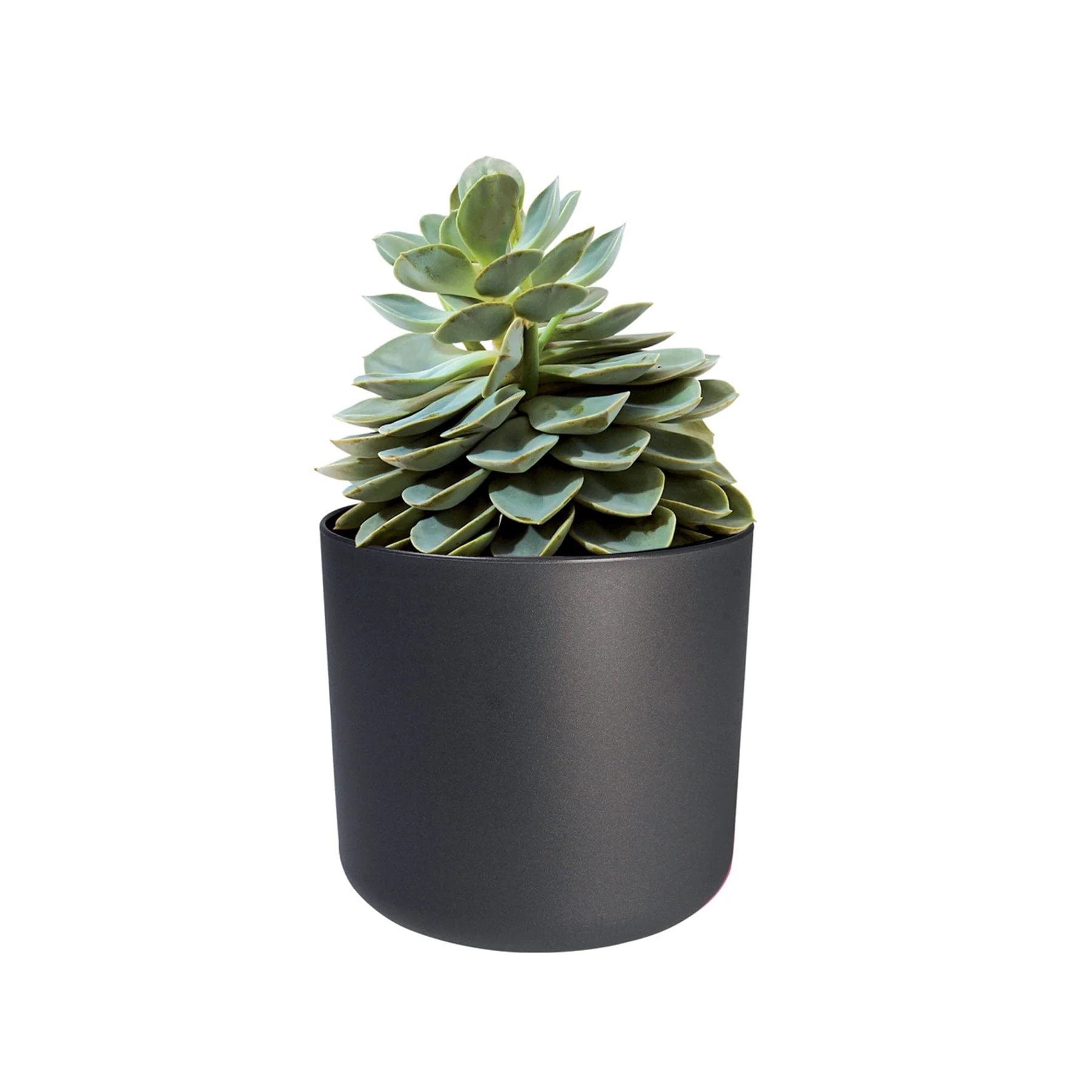 b.for soft round anthracite - Image 3