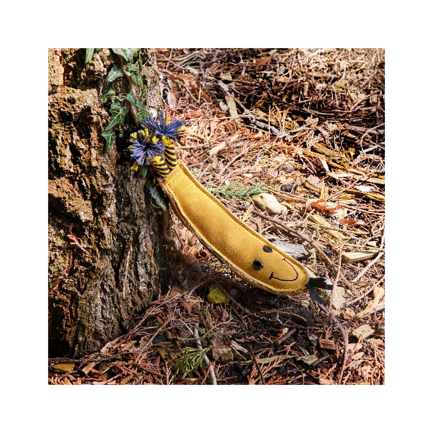 Barry the banana eco pet toy - Image 3
