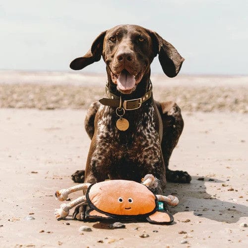 Plush crab dog toy - Image 4
