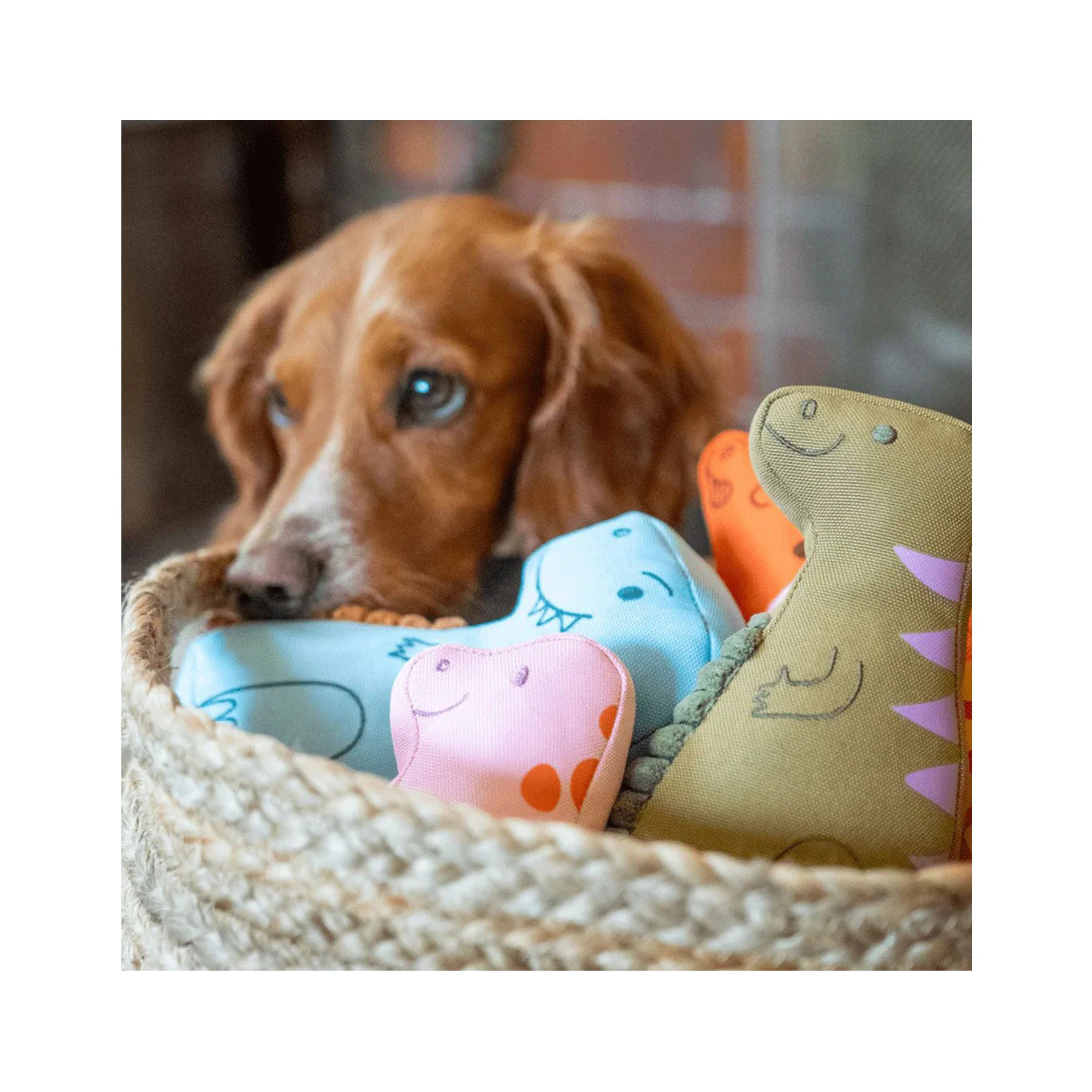 Iguanadon dinosaur dog toy - Image 3