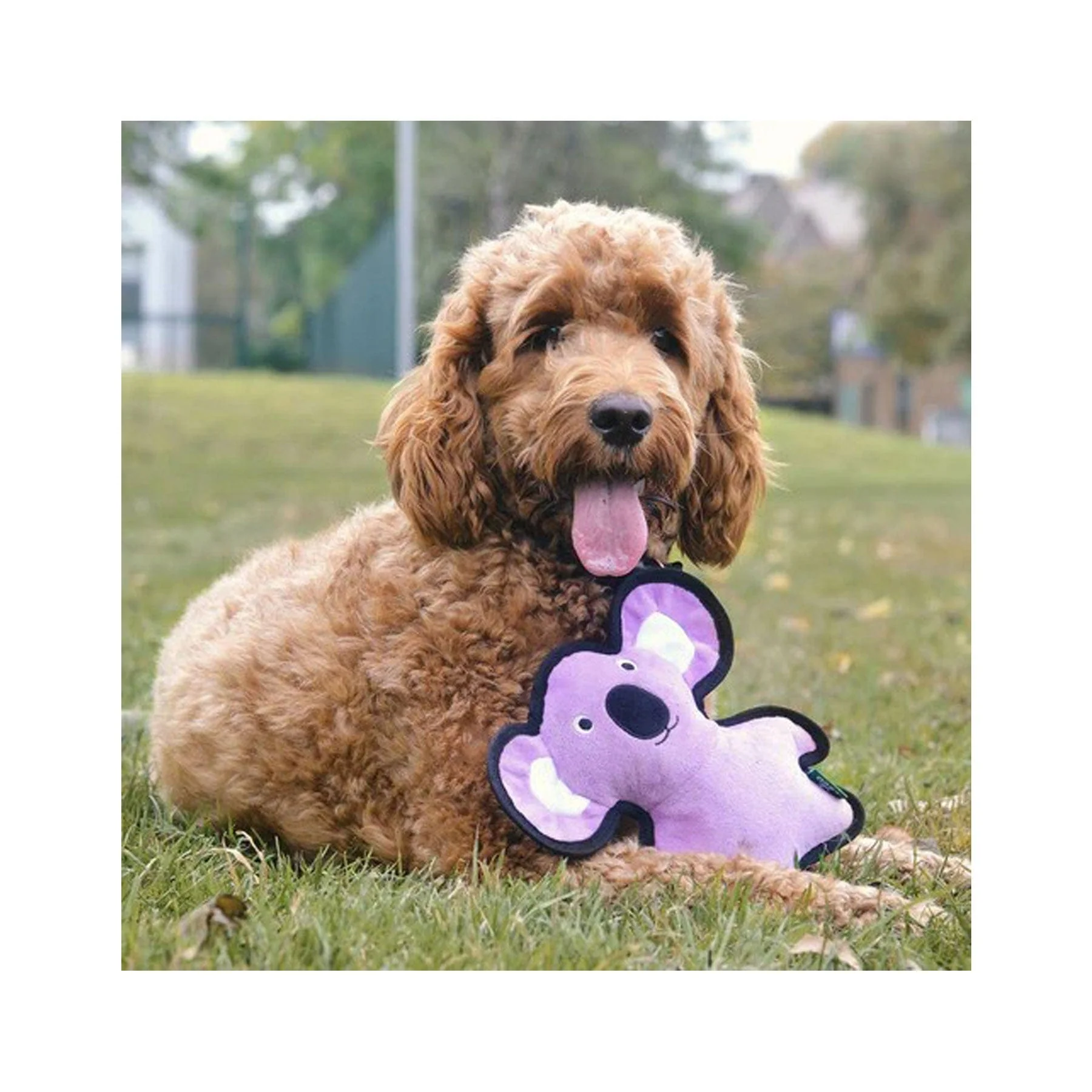 Plush koala dog toy - Image 4