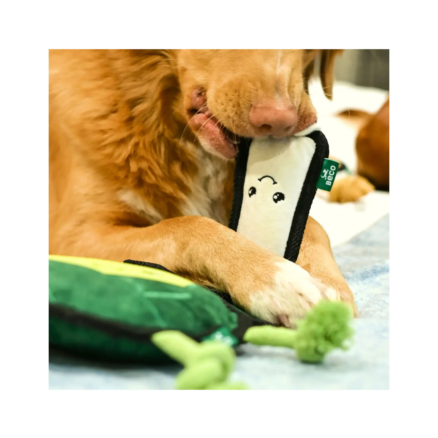 Plush leek dog toy - Image 3