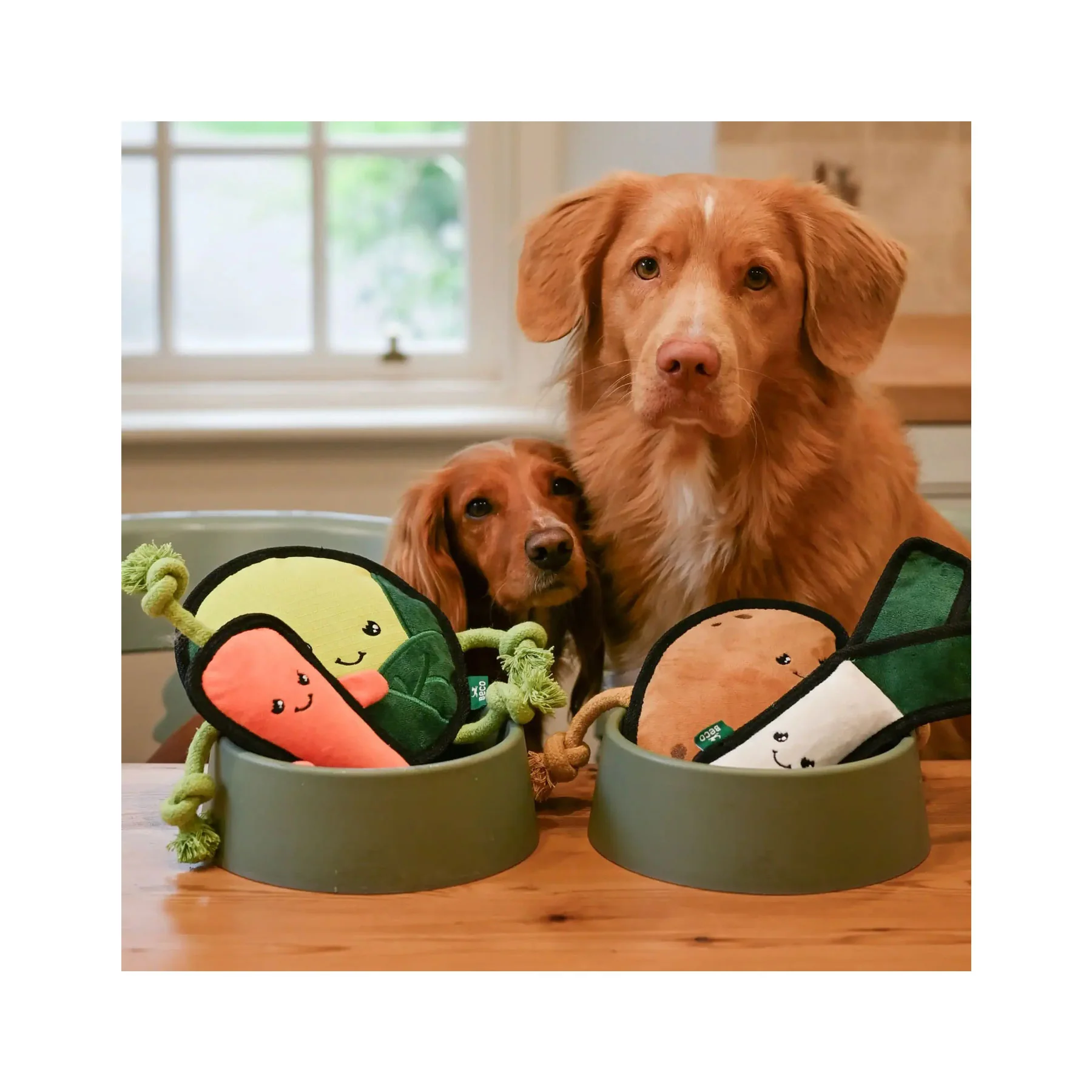 Plush leek dog toy - Image 4