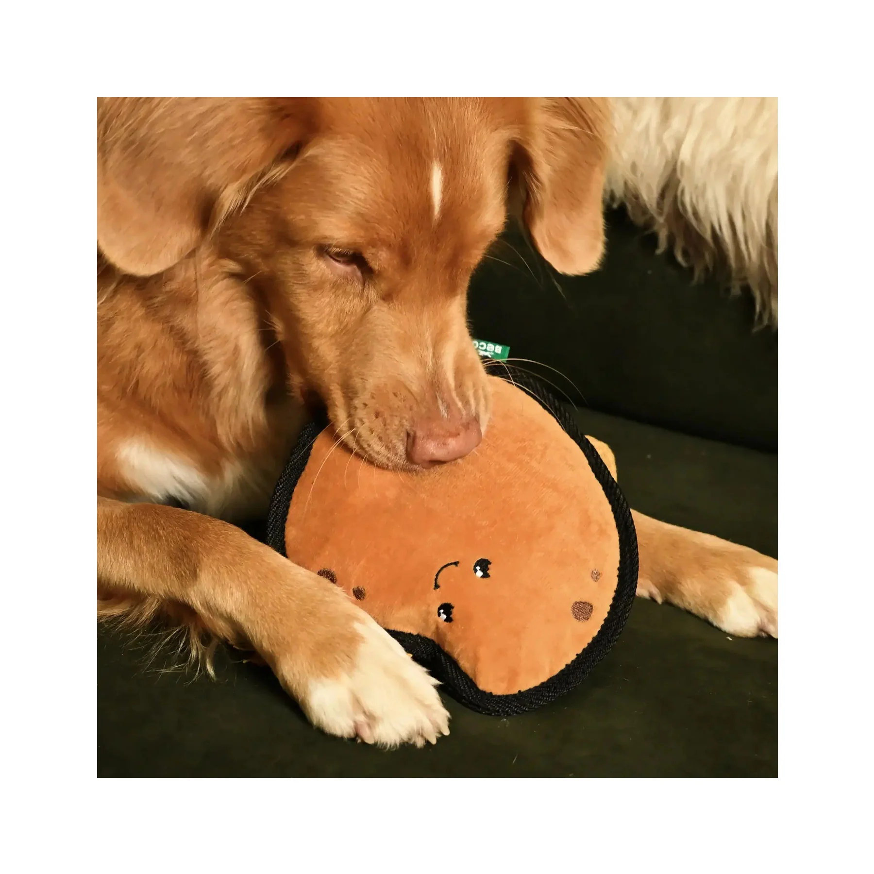 Plush potato dog toy - Image 3