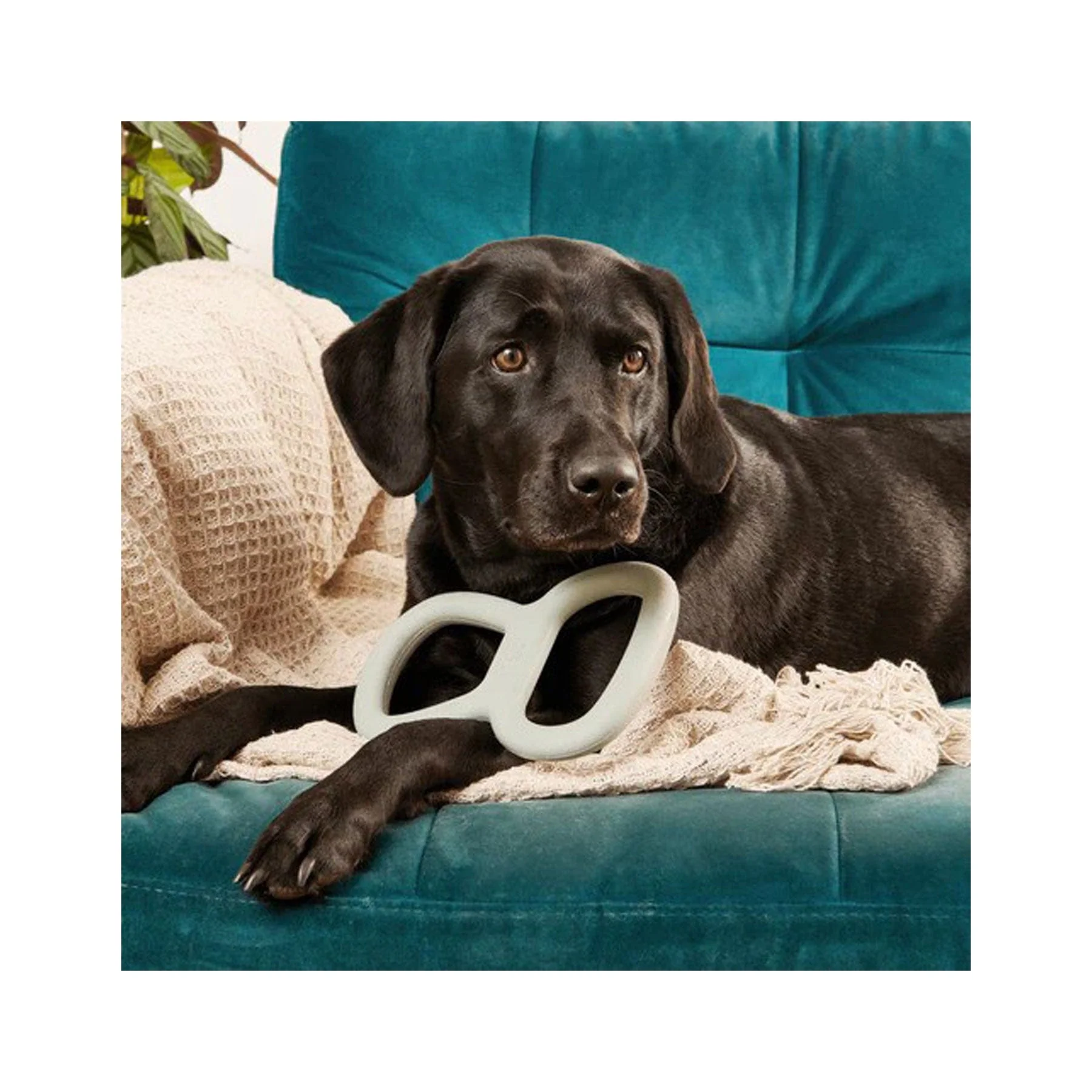 Tough tugger - Image 5
