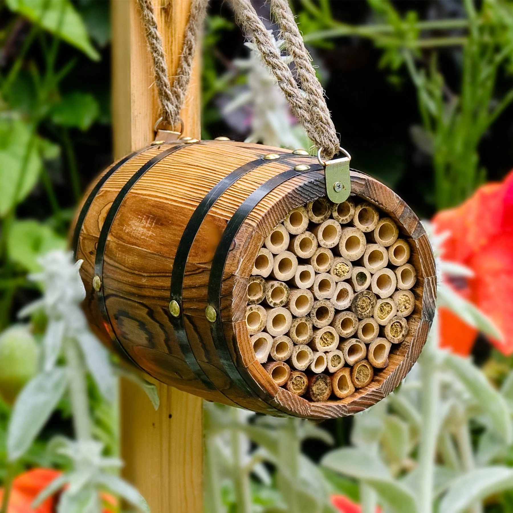 Bee Barrel - Image 2