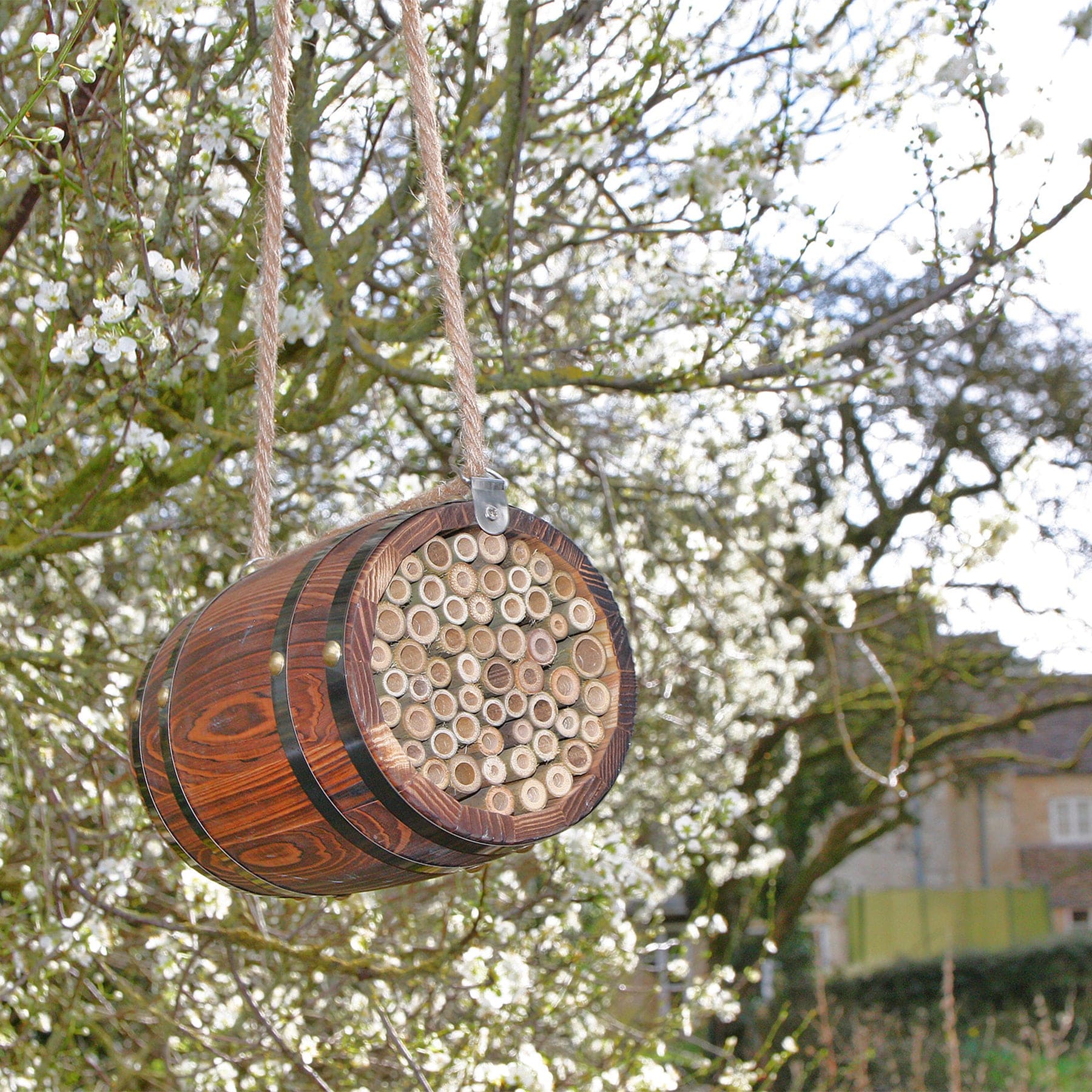 Bee Barrel - Image 4