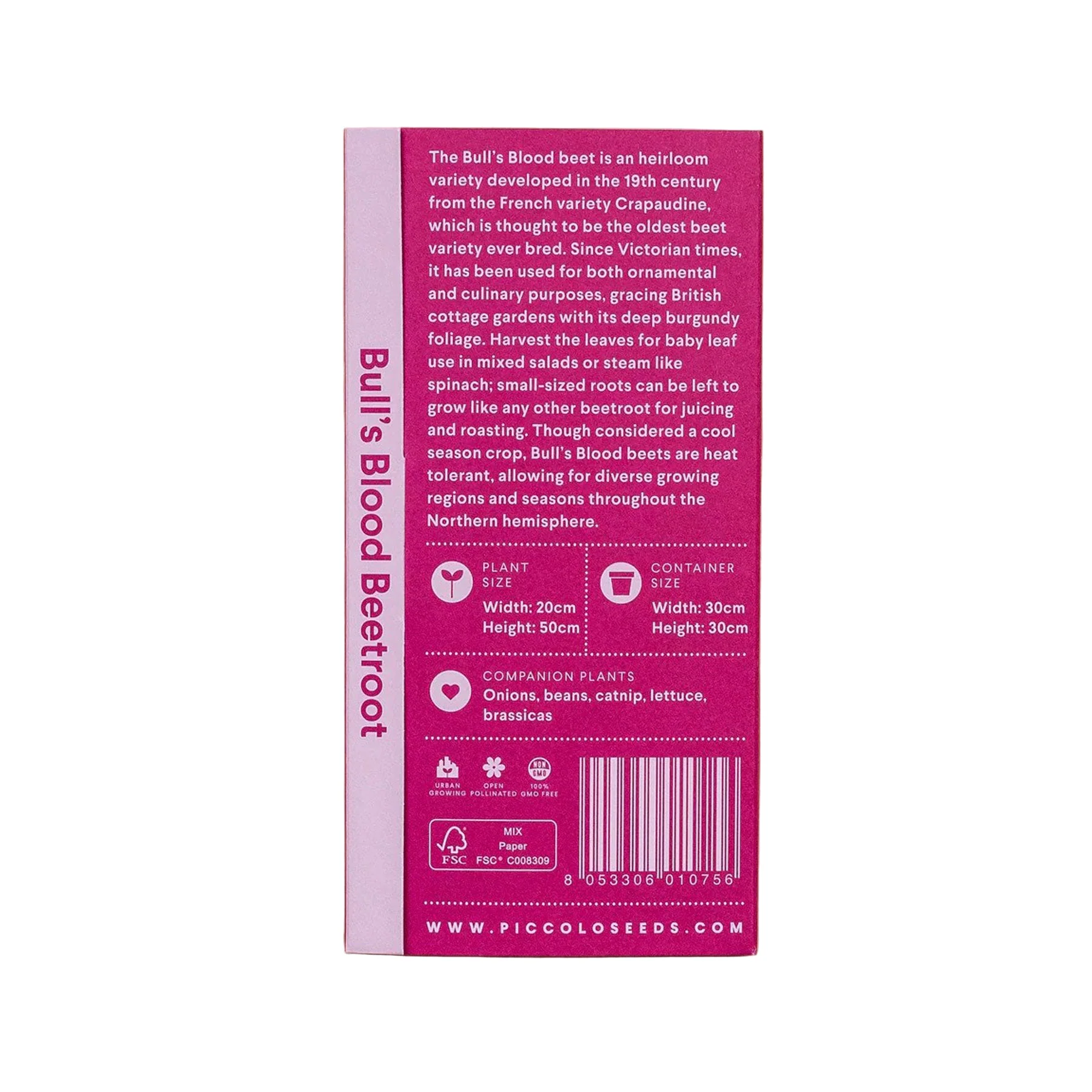Beetroot bull's blood seeds - Image 2