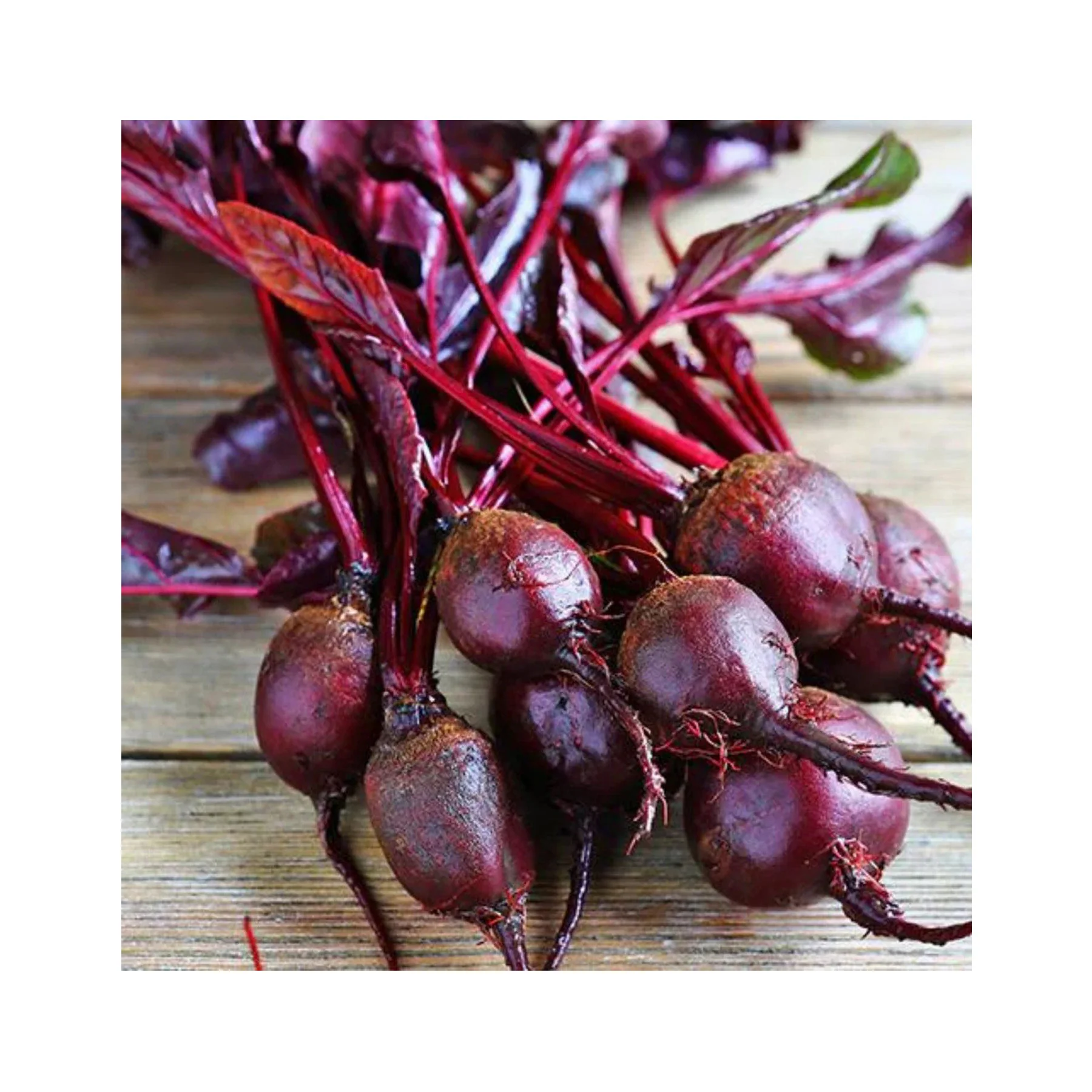 Beetroot bull's blood seeds - Image 3