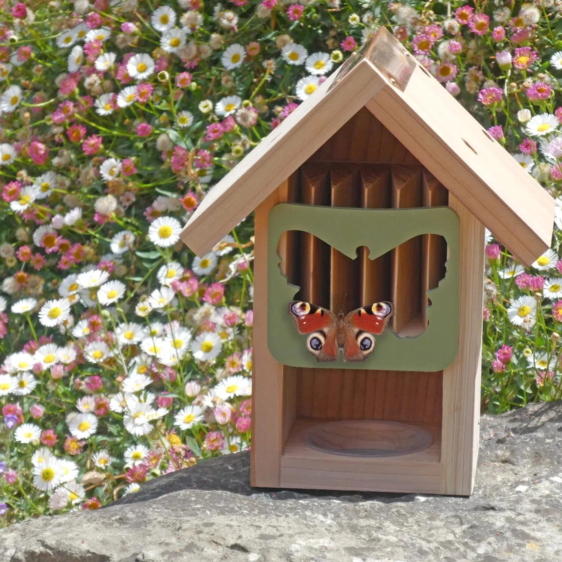 Butterfly barn - Image 3