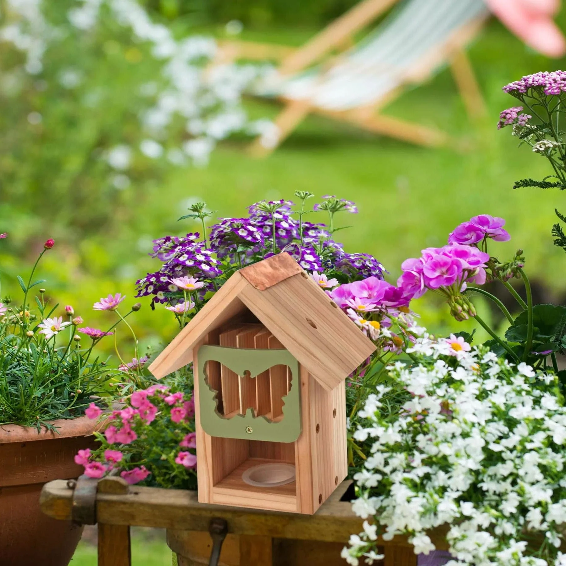 Butterfly barn - Image 4