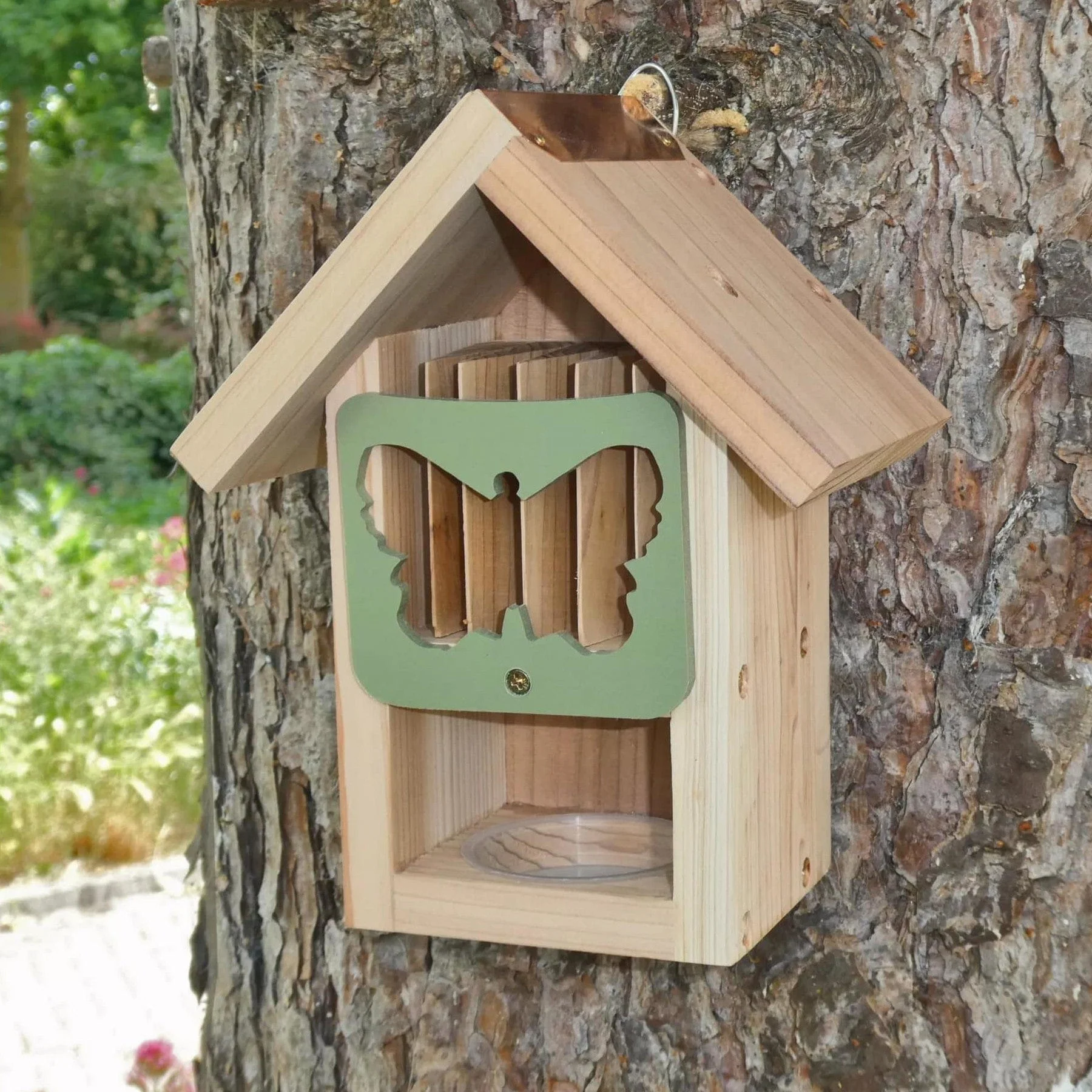 Butterfly barn - Image 5