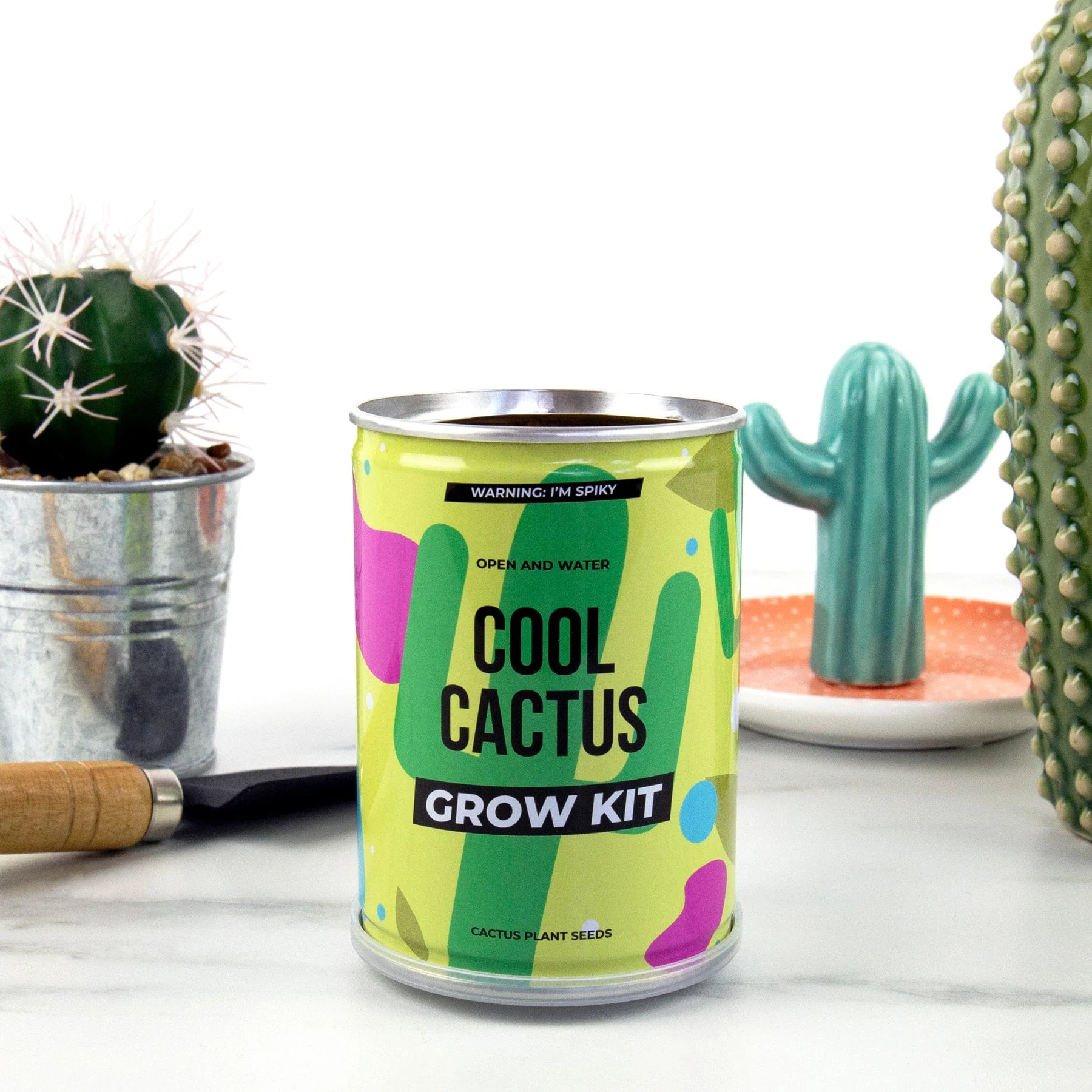 Cool cactus grow tin - Image 3