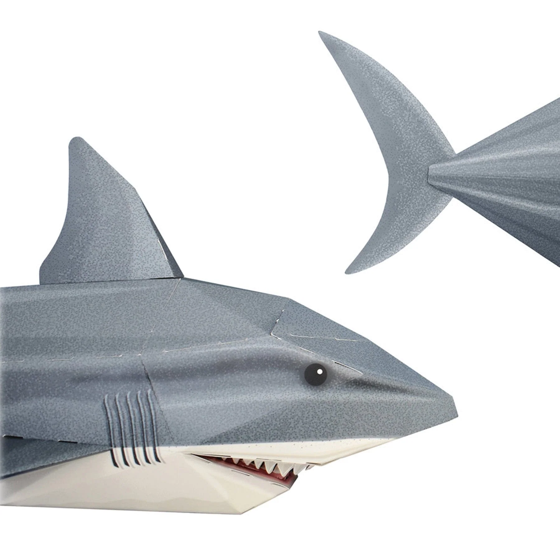 Create your own snappy shark - Image 2