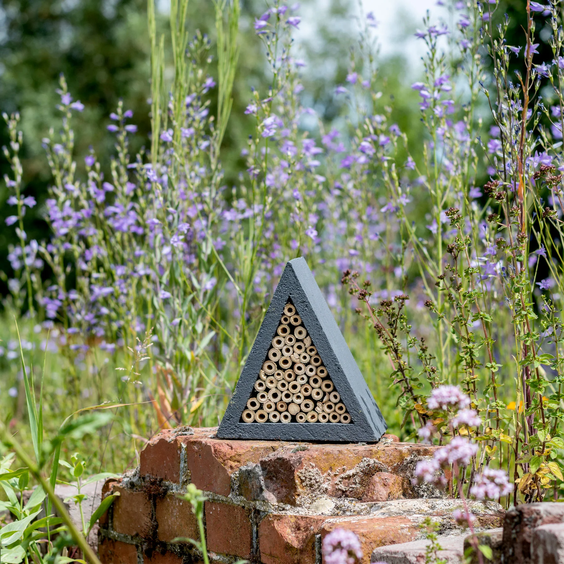 Culebra insect house - Image 4
