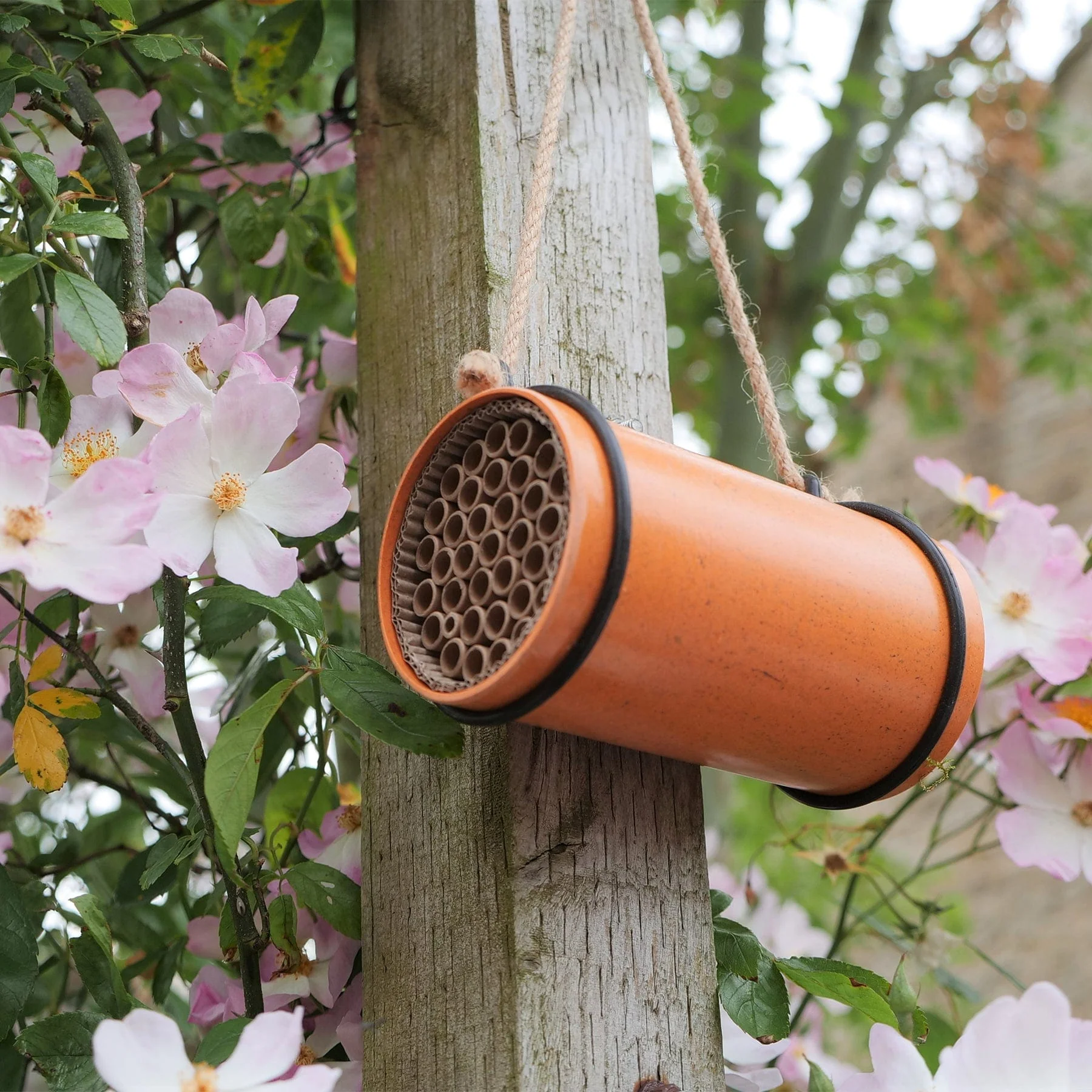 Eco bee nester - Image 2