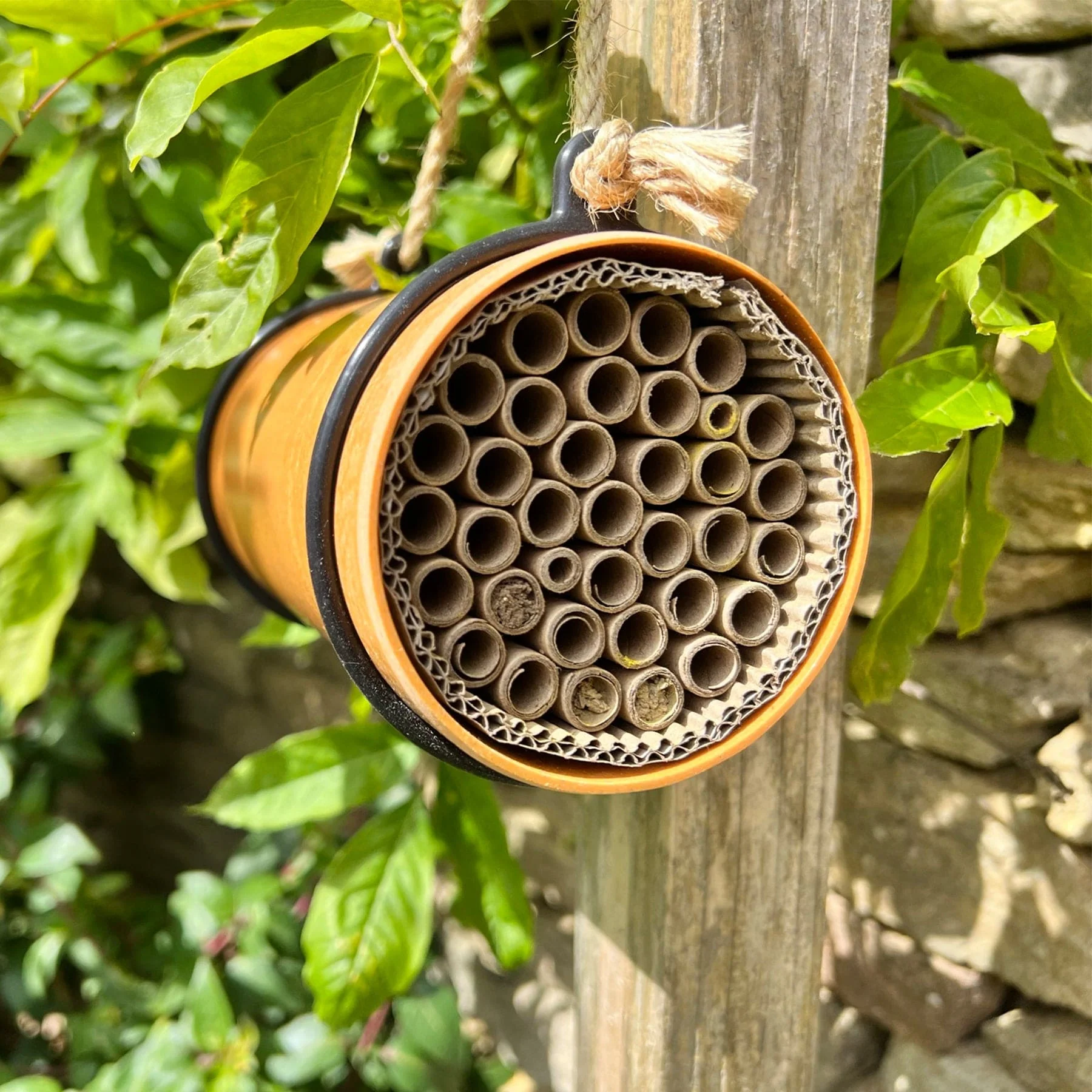 Eco bee nester - Image 5