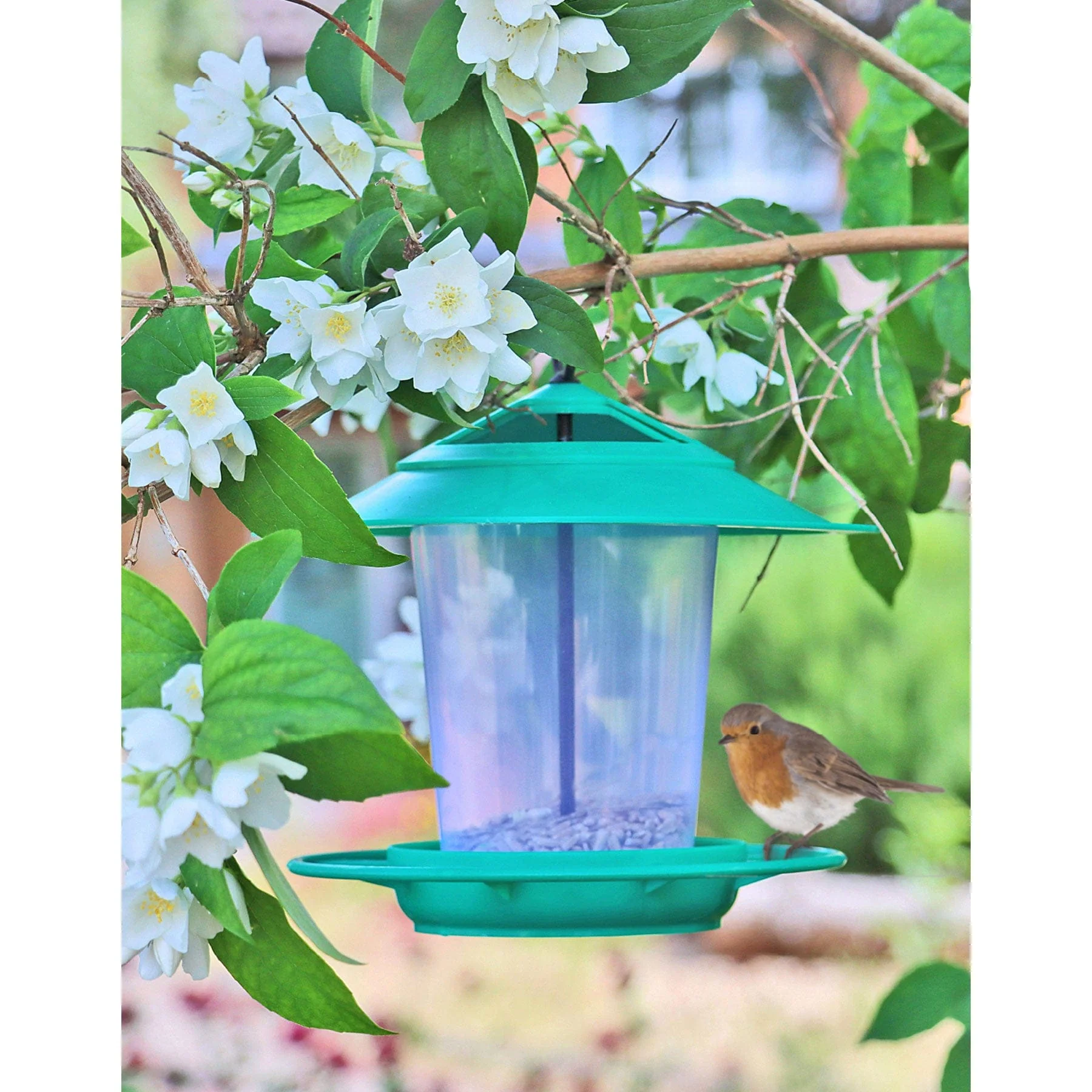 Eco-blu bird feeder - Image 2