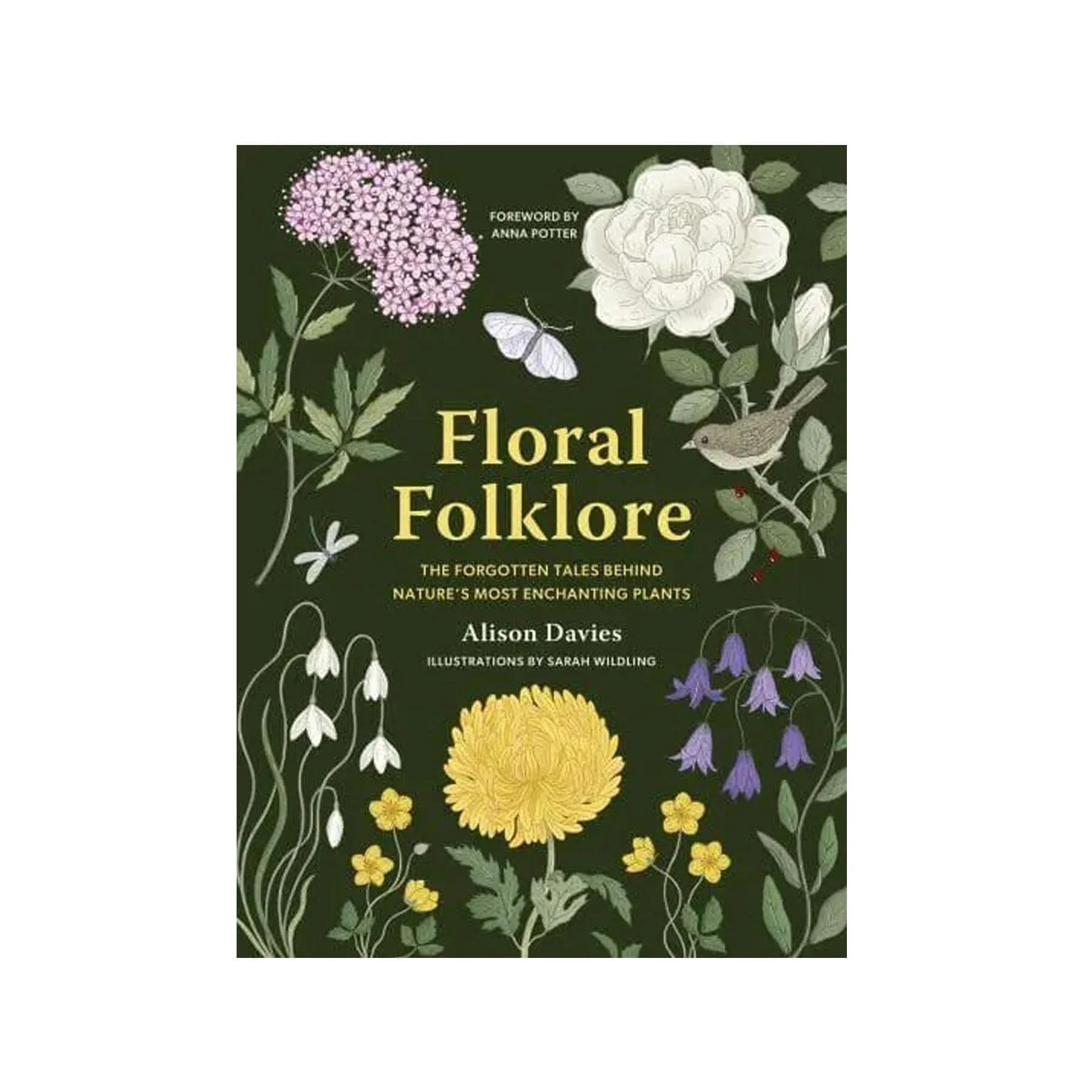 Floral folklore: the forgotten tales behind nature’s most enchanting plants