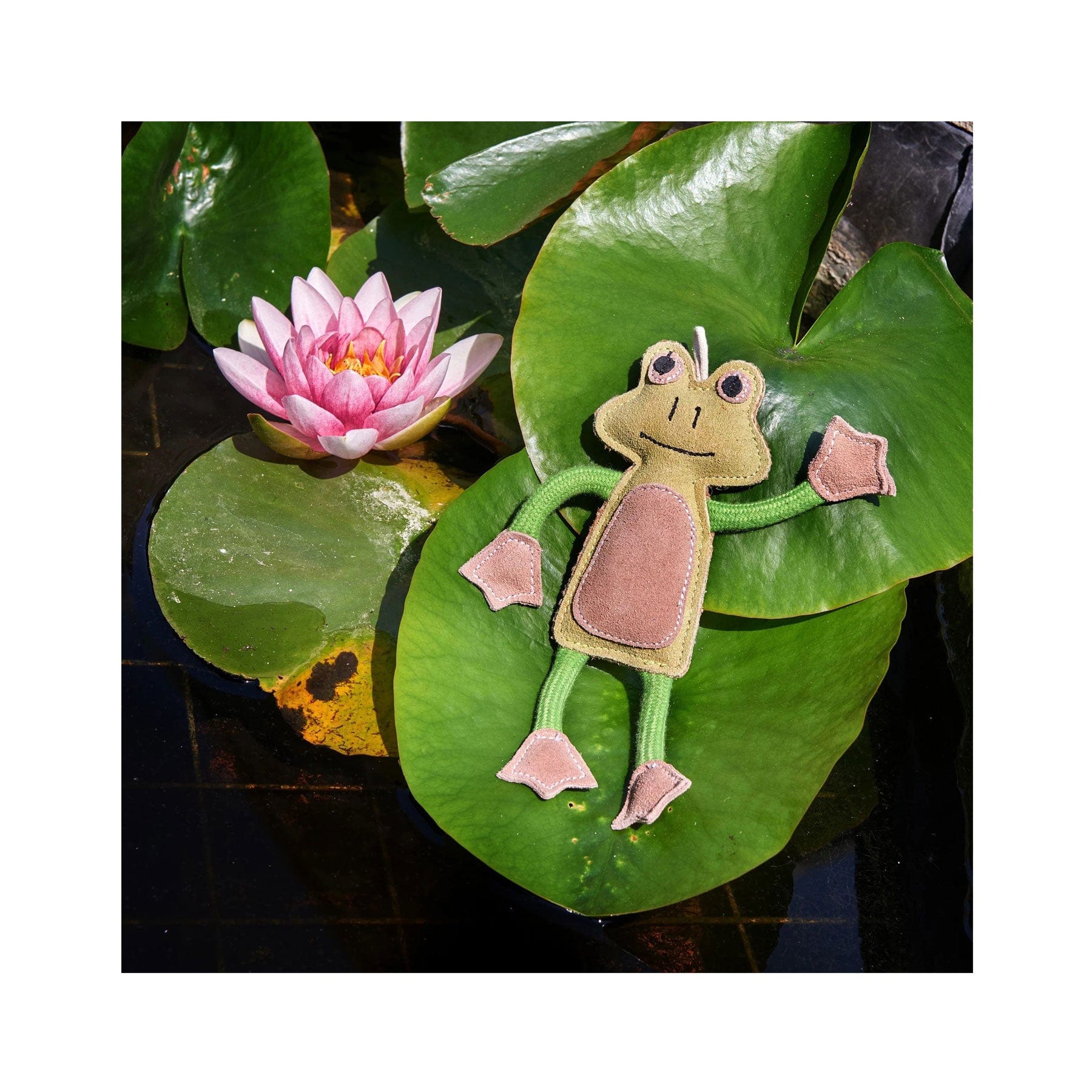 Francois le frog eco pet toy - Image 3