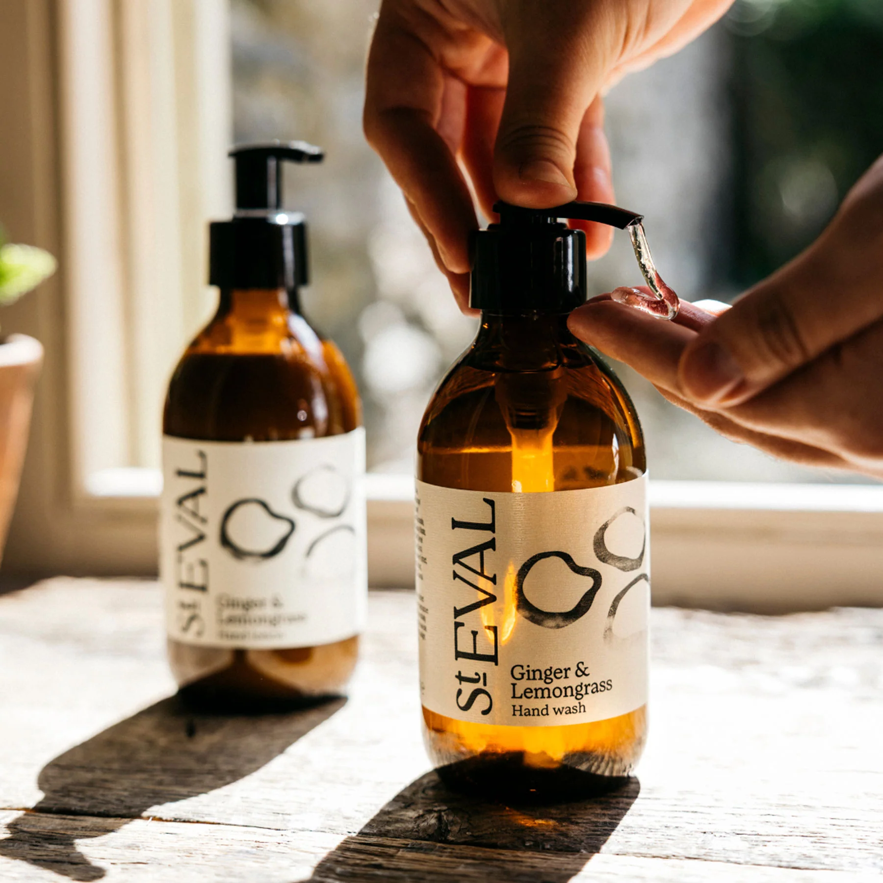 Ginger & lemongrass hand wash 240ml - Image 3