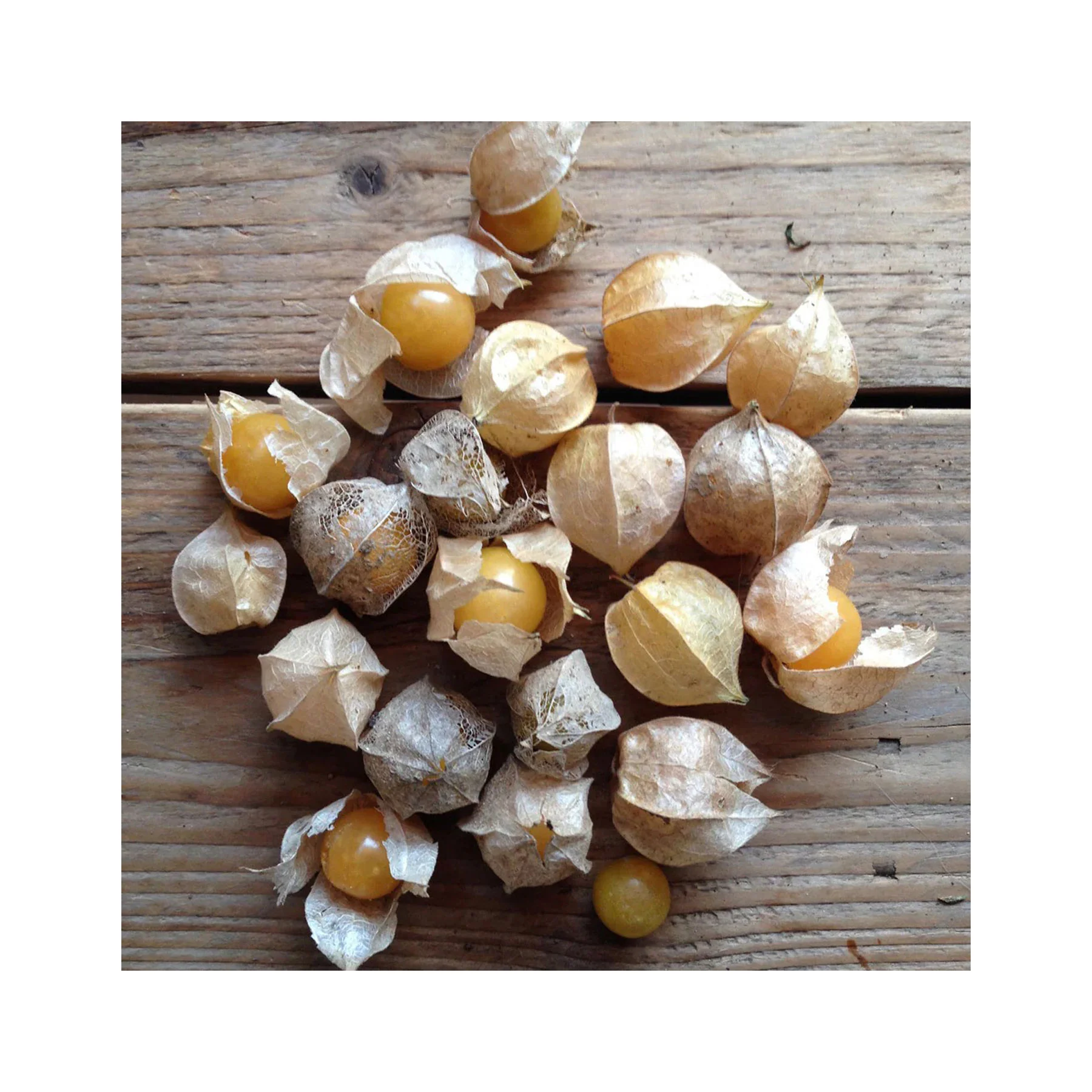 Golden berry cape gooseberry seeds - Image 3