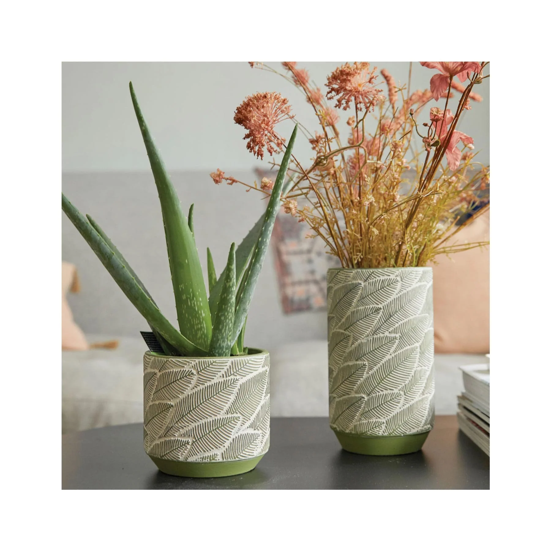Green leaf indoor plant pot 13cm - Image 2