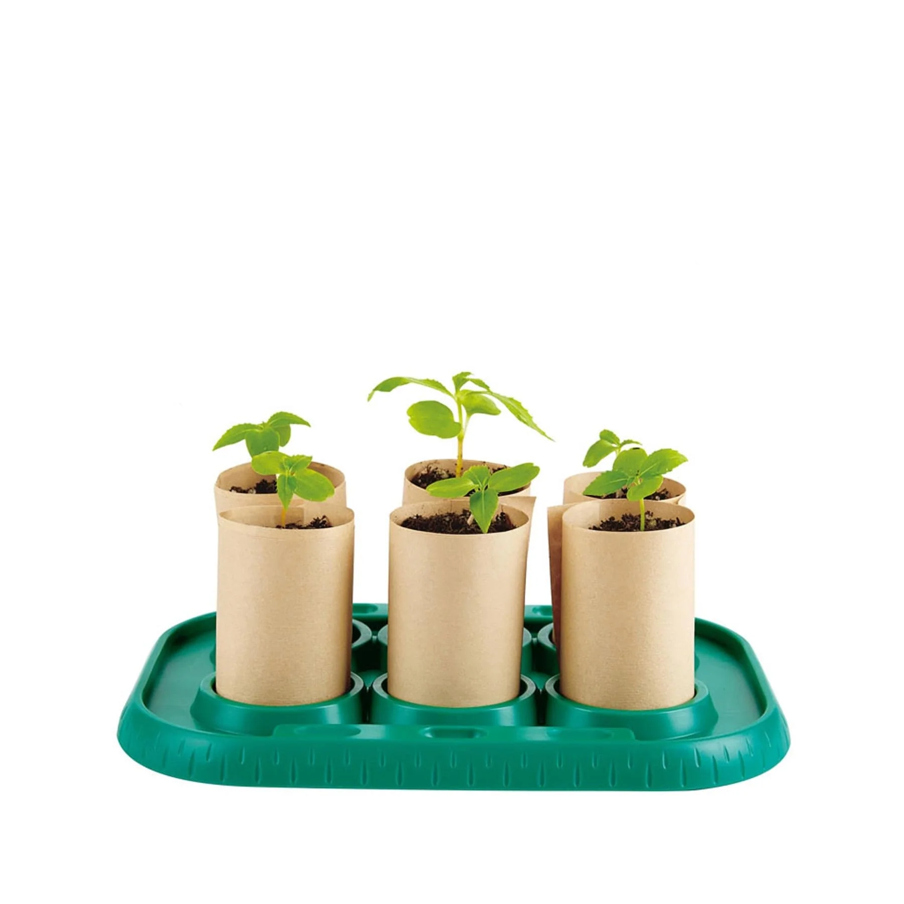 Nature fun growing gardener's greenhouse - Image 2