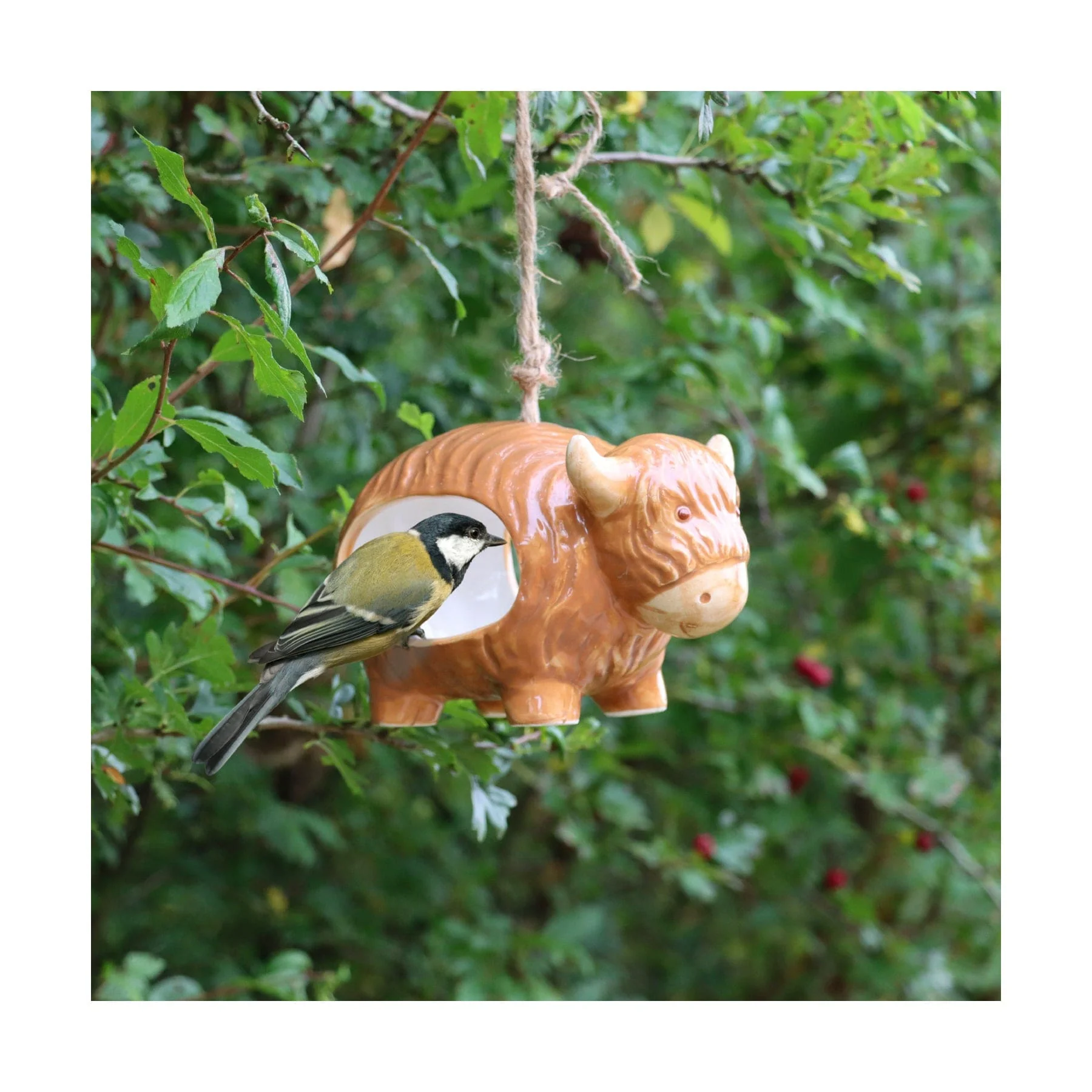 'Hairie' hanging ceramic highland cow bird feeder - Image 3