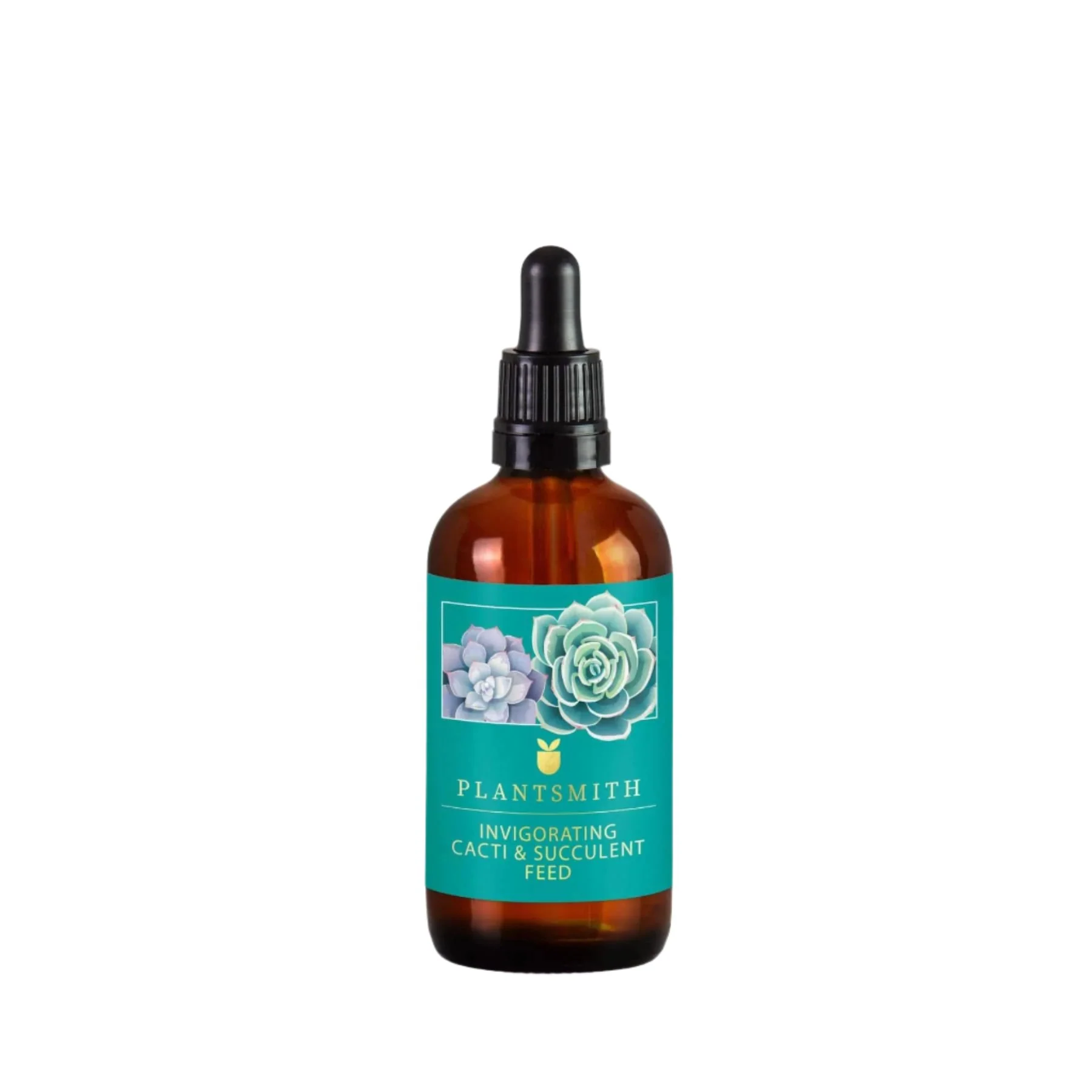 Invigorating cacti & succulent feed 100ml