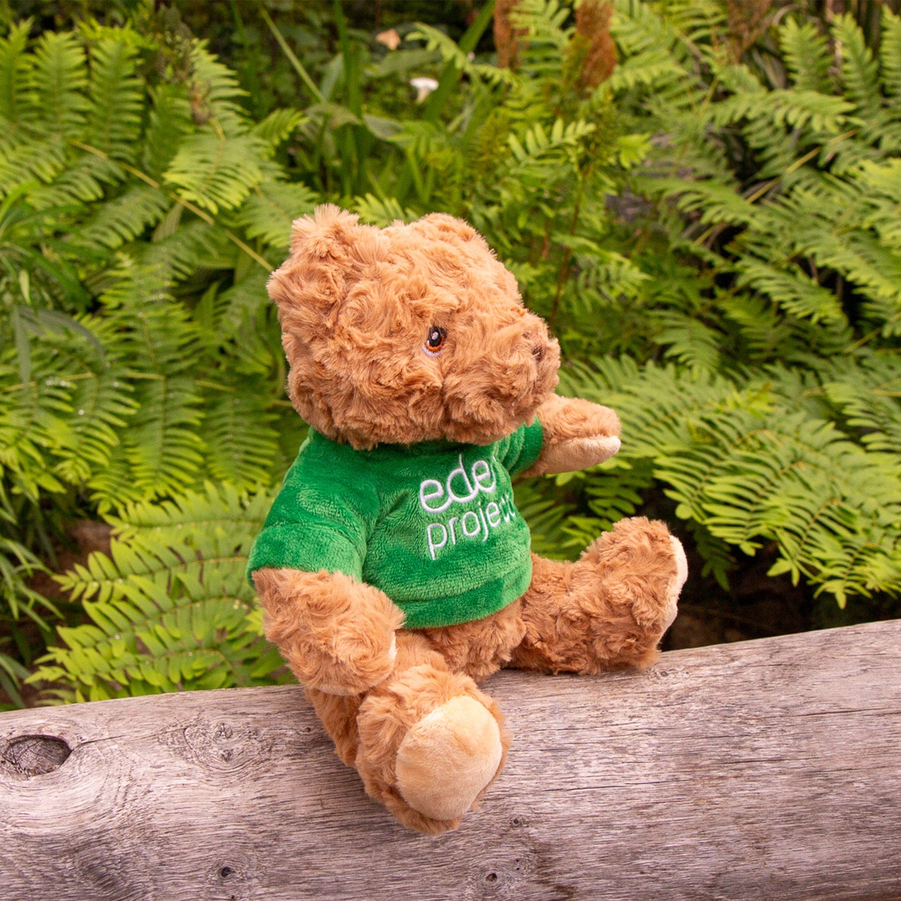 Eden Project bear 20cm - Image 2