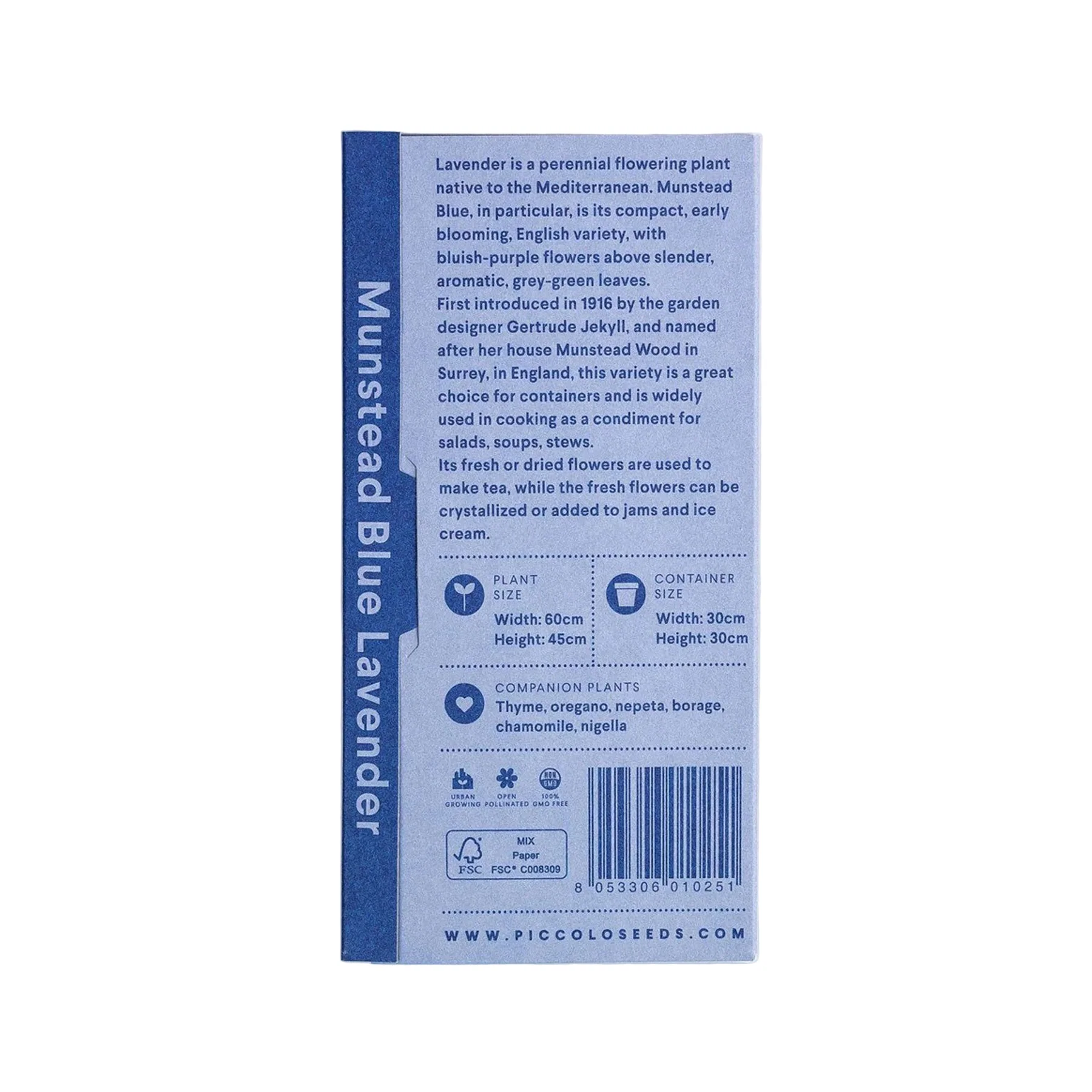 Lavender munstead blue seeds - Image 2