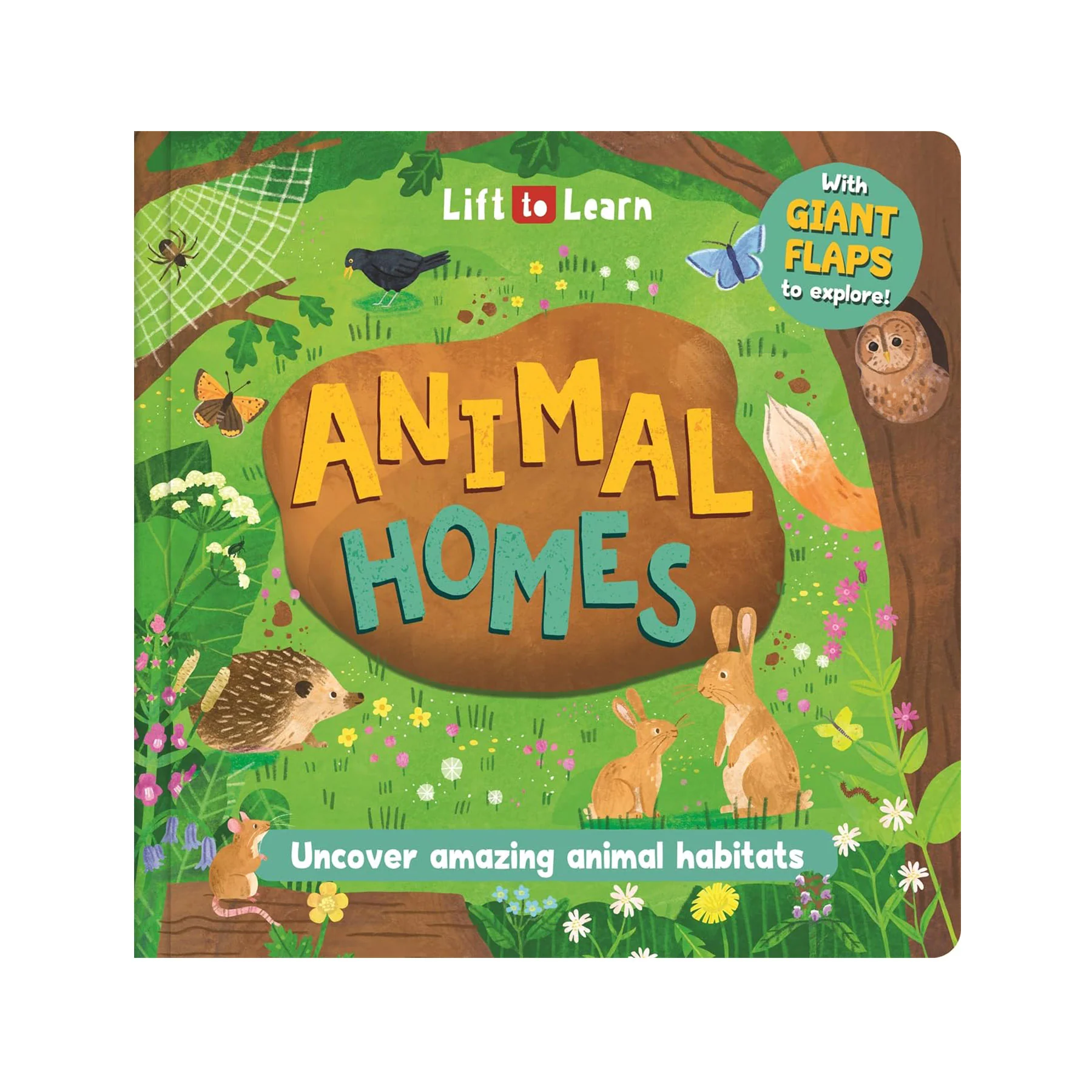 Animal homes: uncover amazing animal habitats