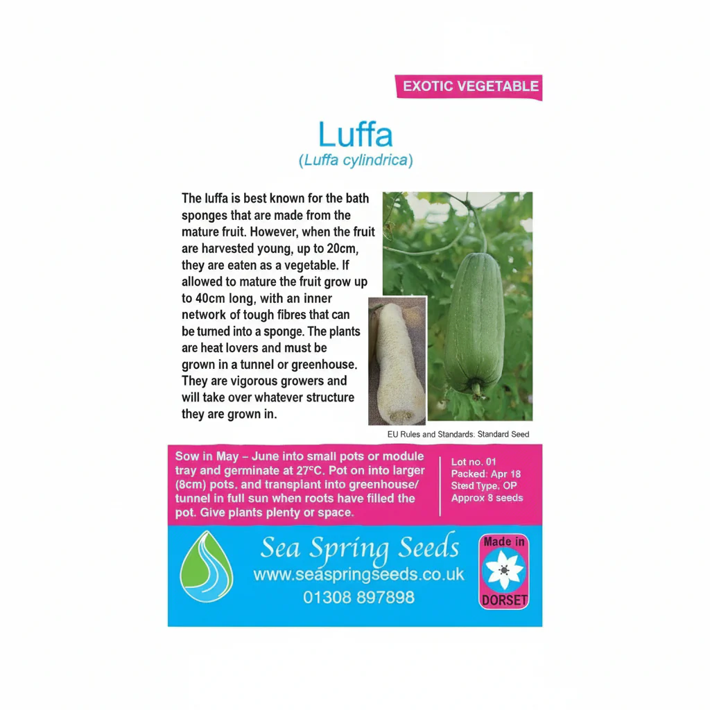 Luffa seeds