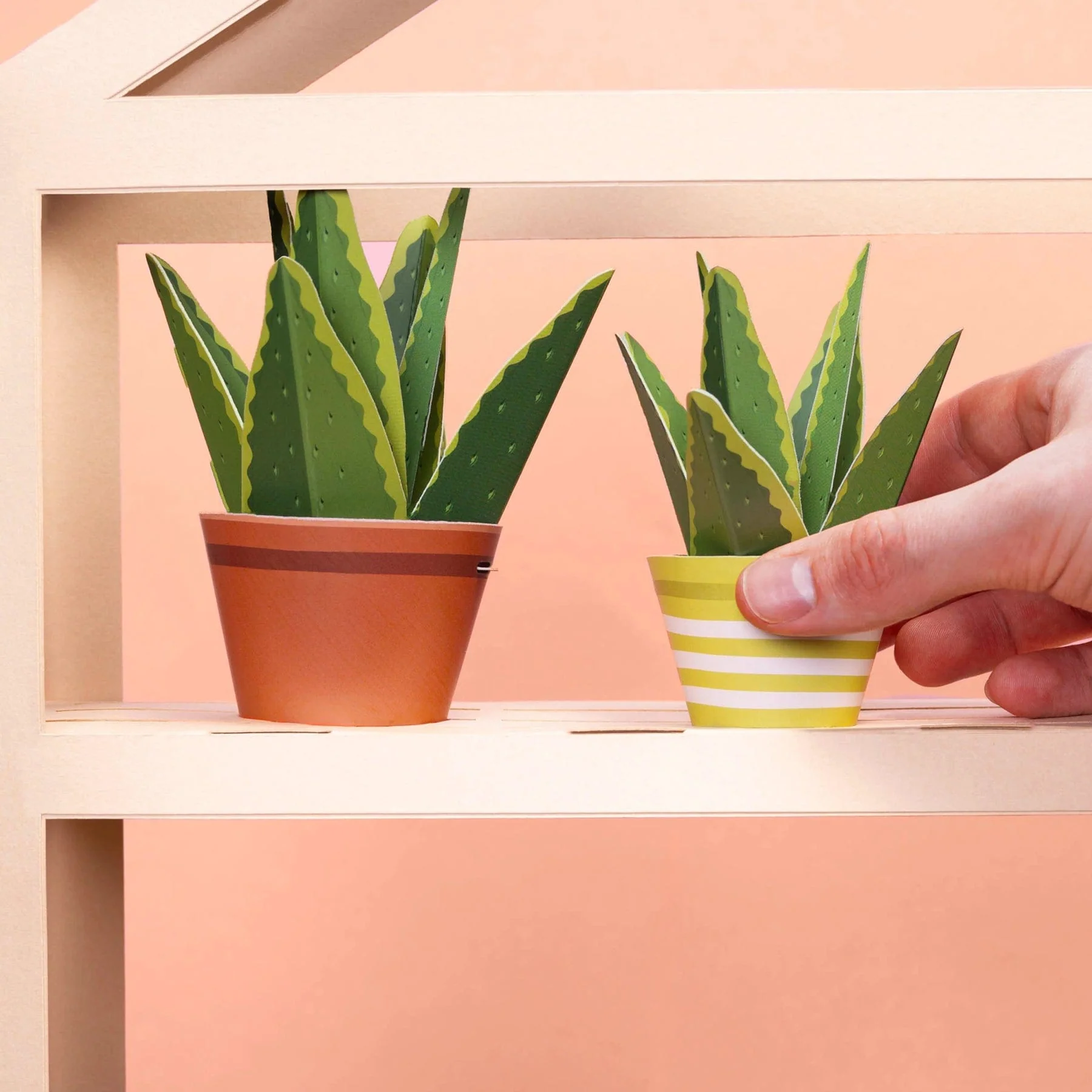 Make your own healing aloe vera paper plant kit - Image 3