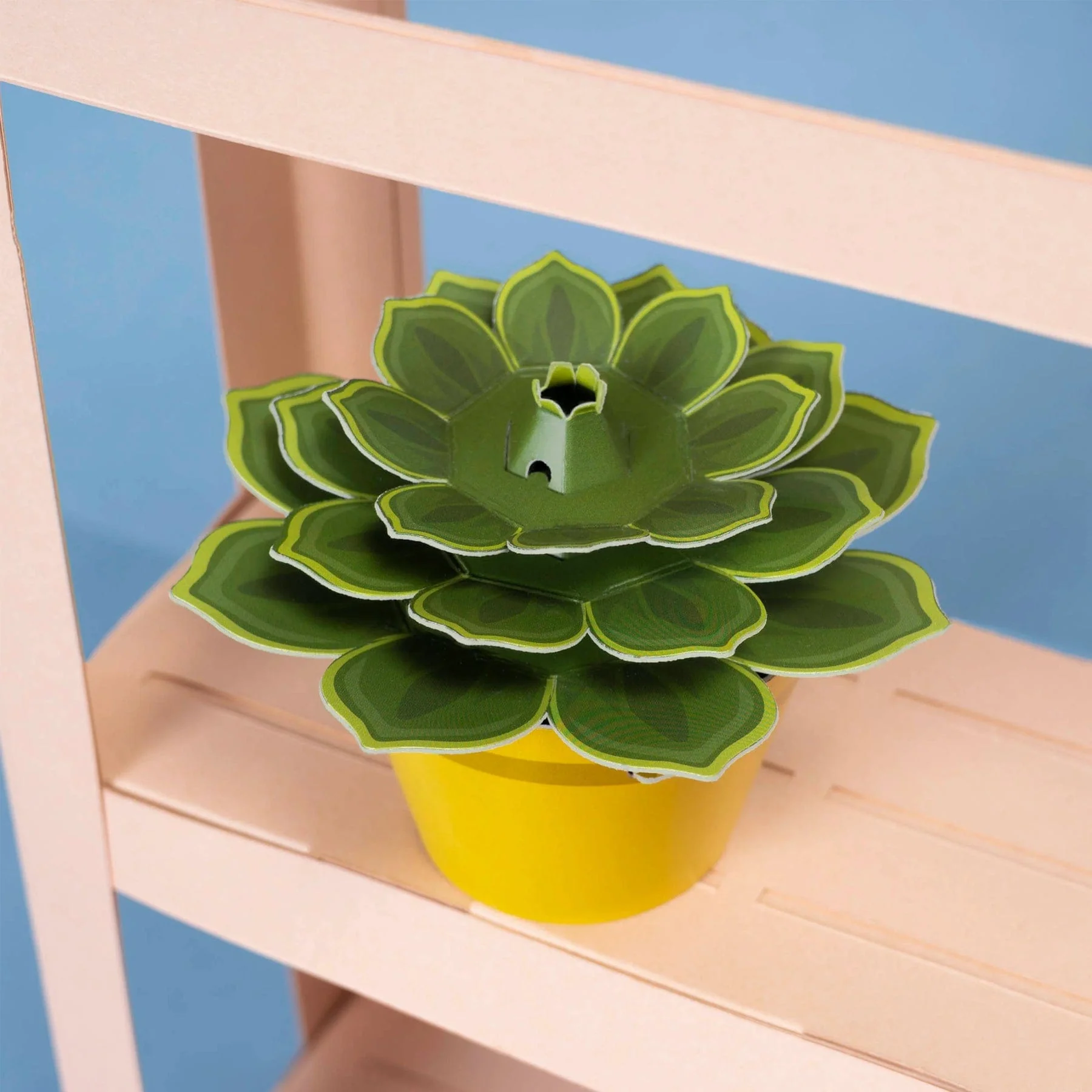 Make your own soothing succulent paper plant kit - Image 3