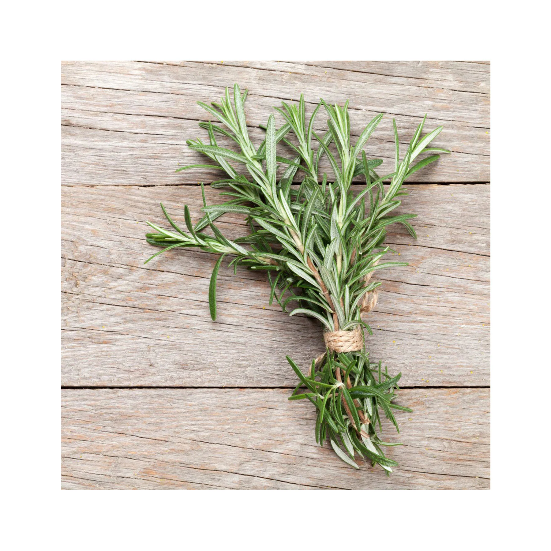 Mediterranean herbs seed collection - Image 3