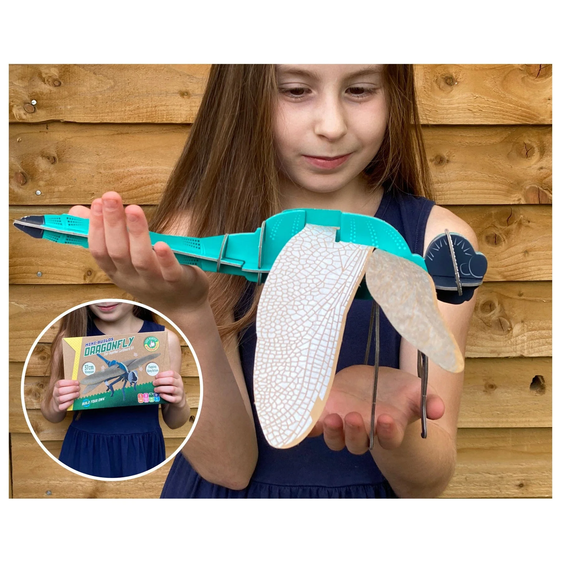 Mini-builds dragonfly - Image 4