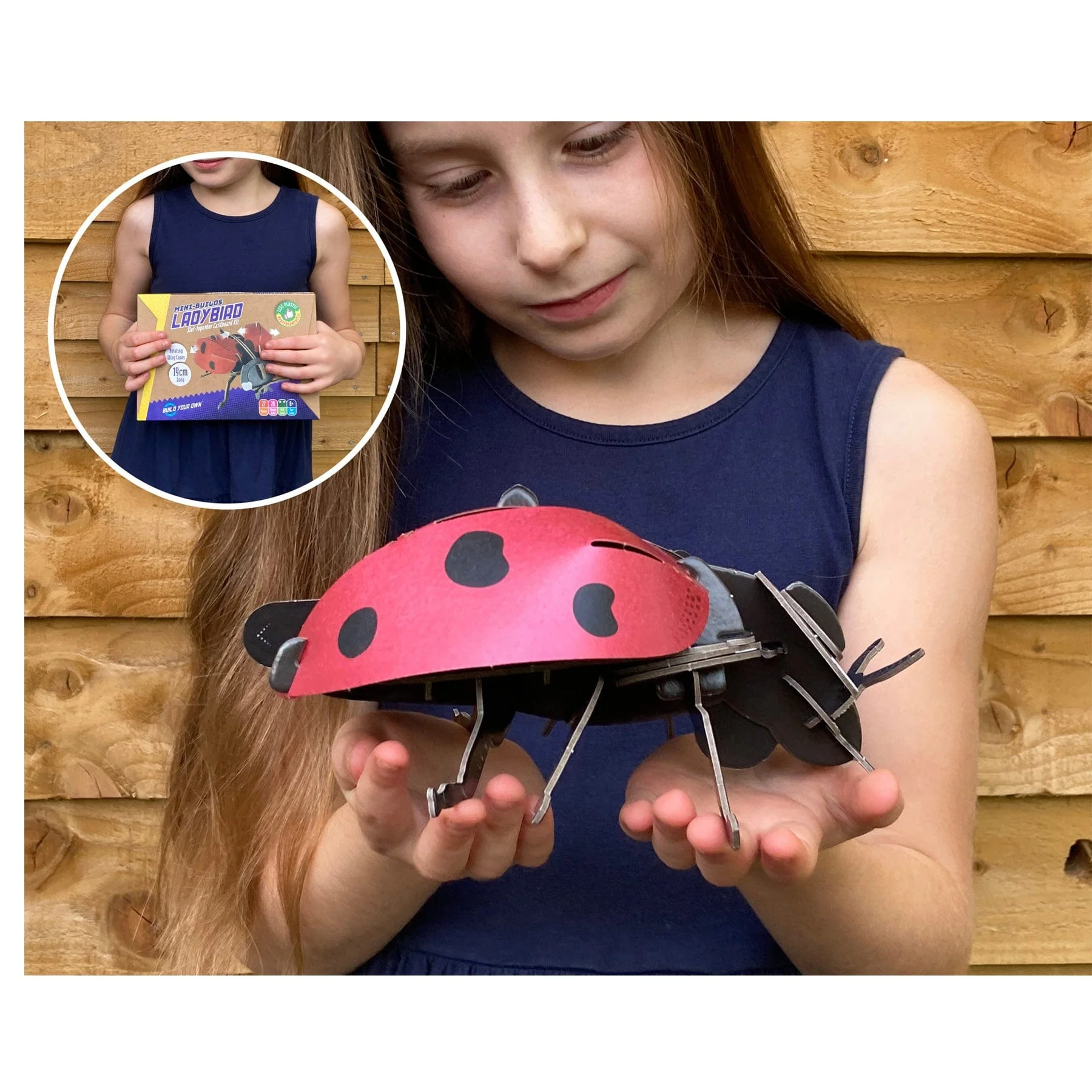 Mini-builds ladybird - Image 4