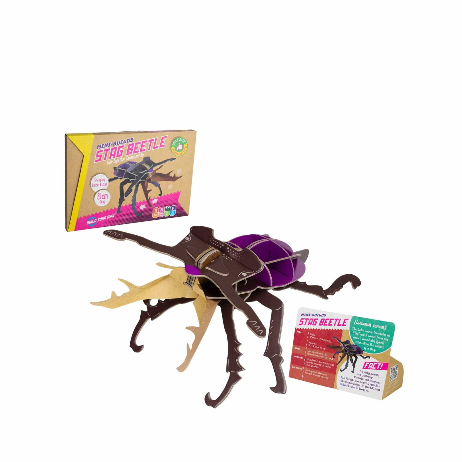 Mini-builds stag beetle - Image 3