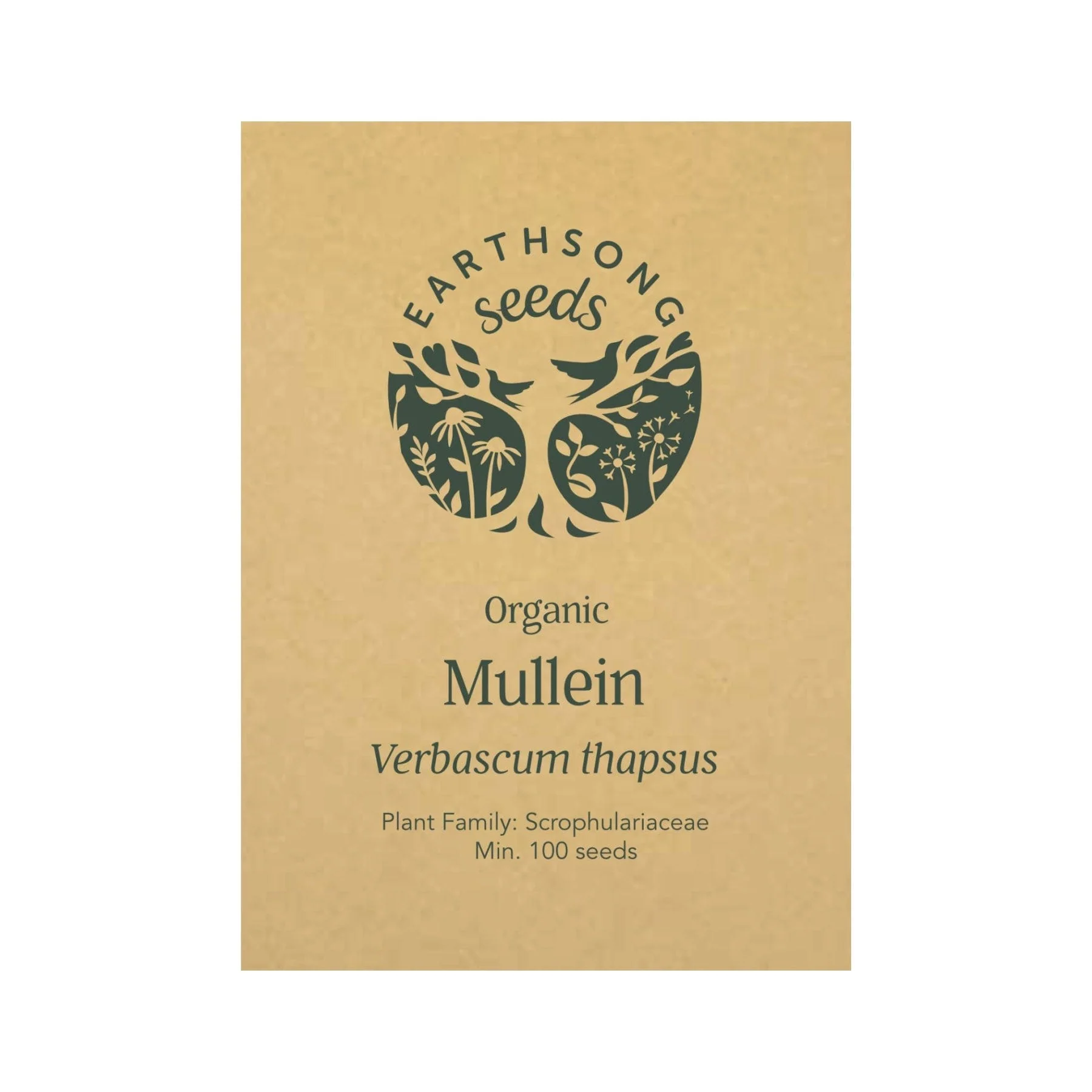 Mullein seed pack