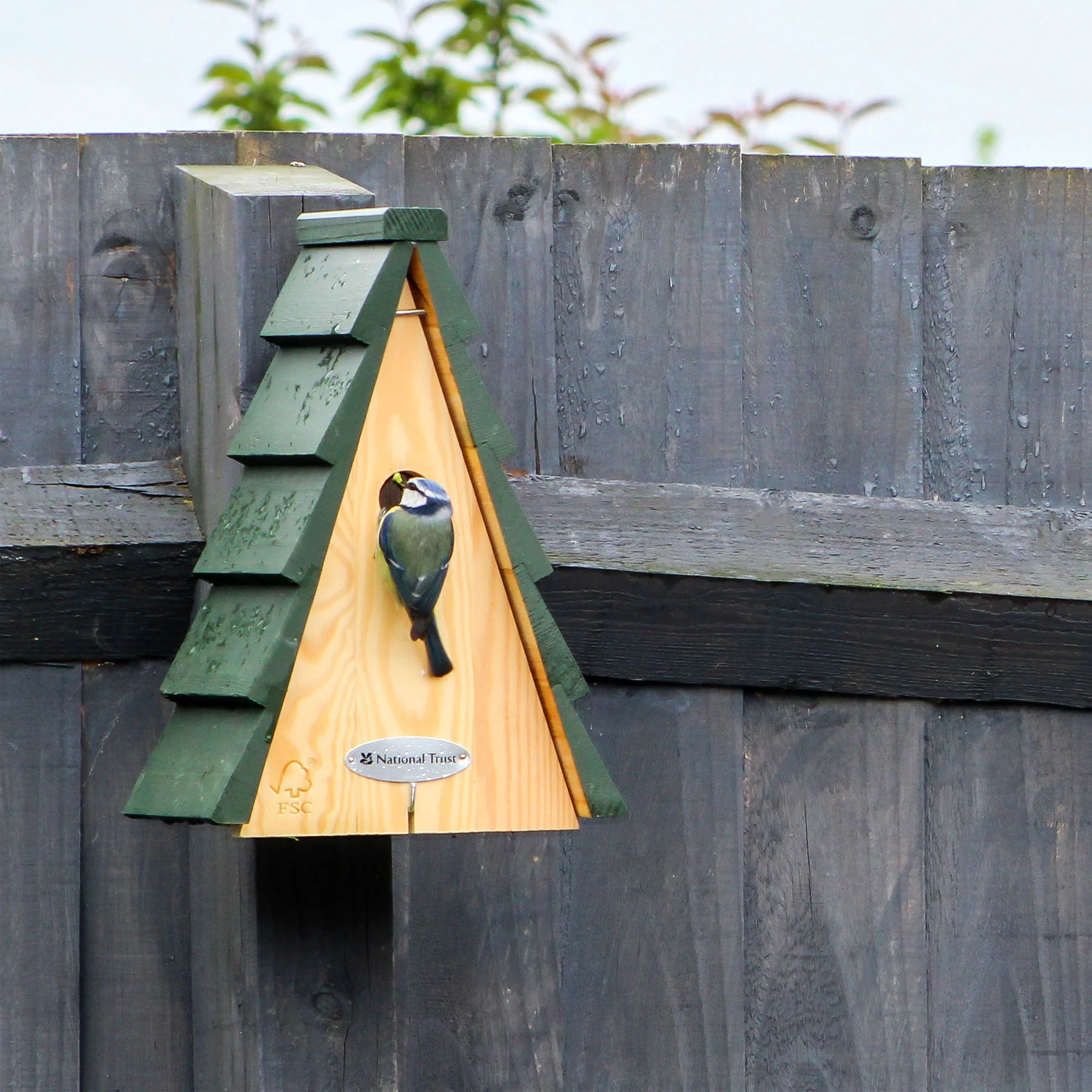 National Trust aspen larch 28mm nest box - Image 3