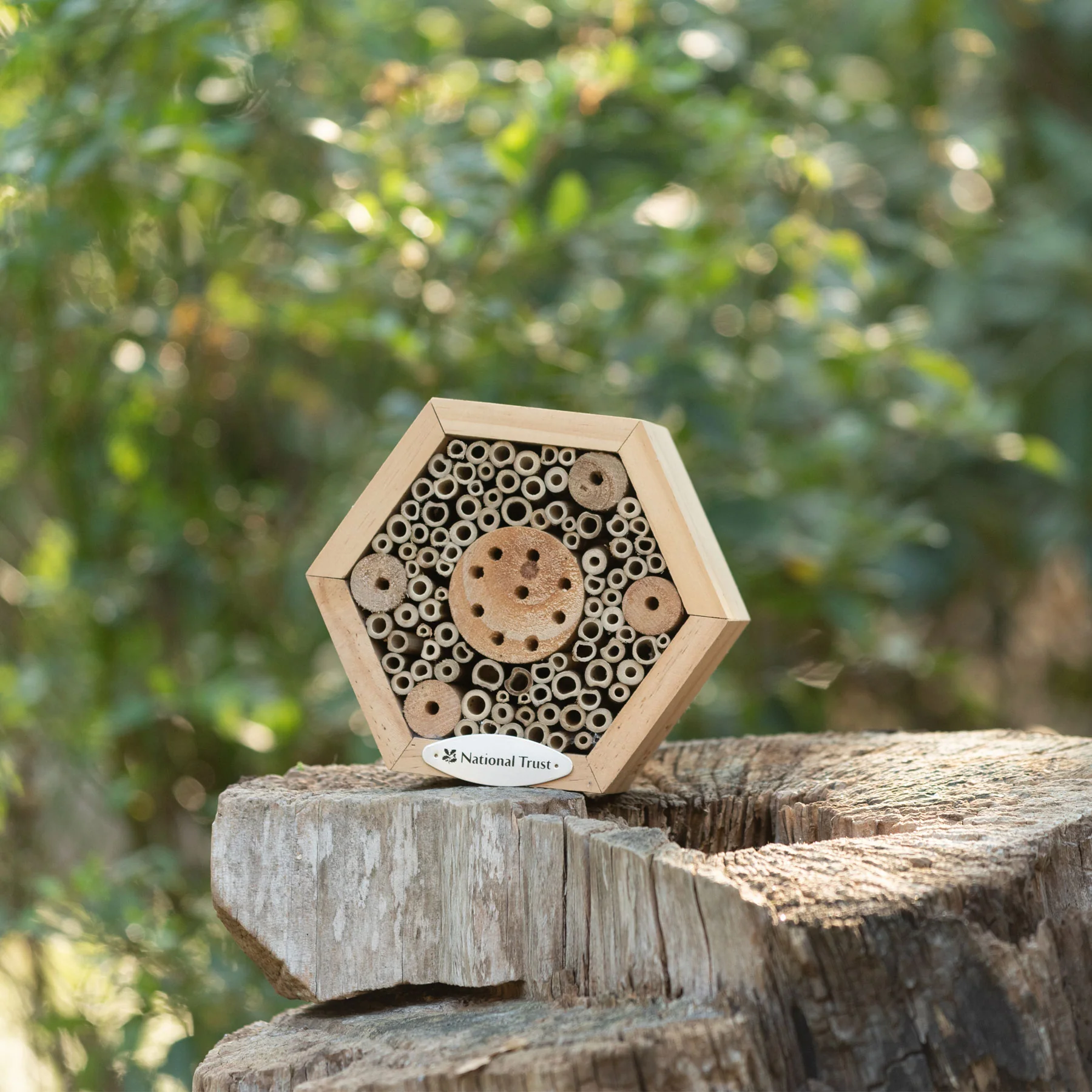 National Trust hexagon insect house - Image 2