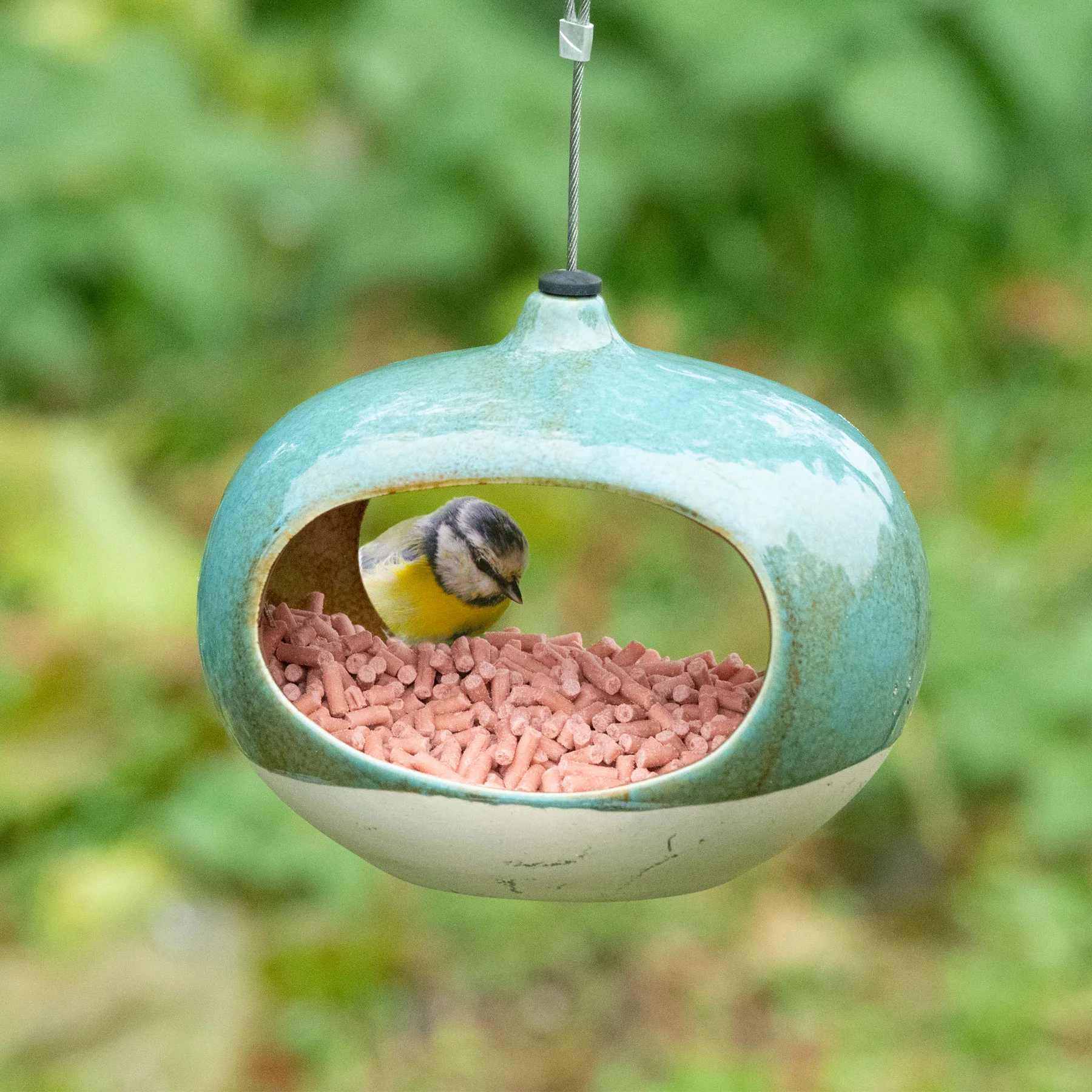 National Trust vierno diner bird feeder - Image 3