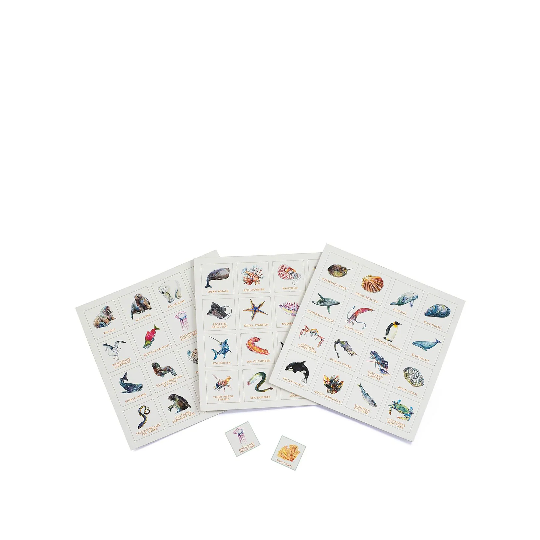 Ocean bingo - Image 4