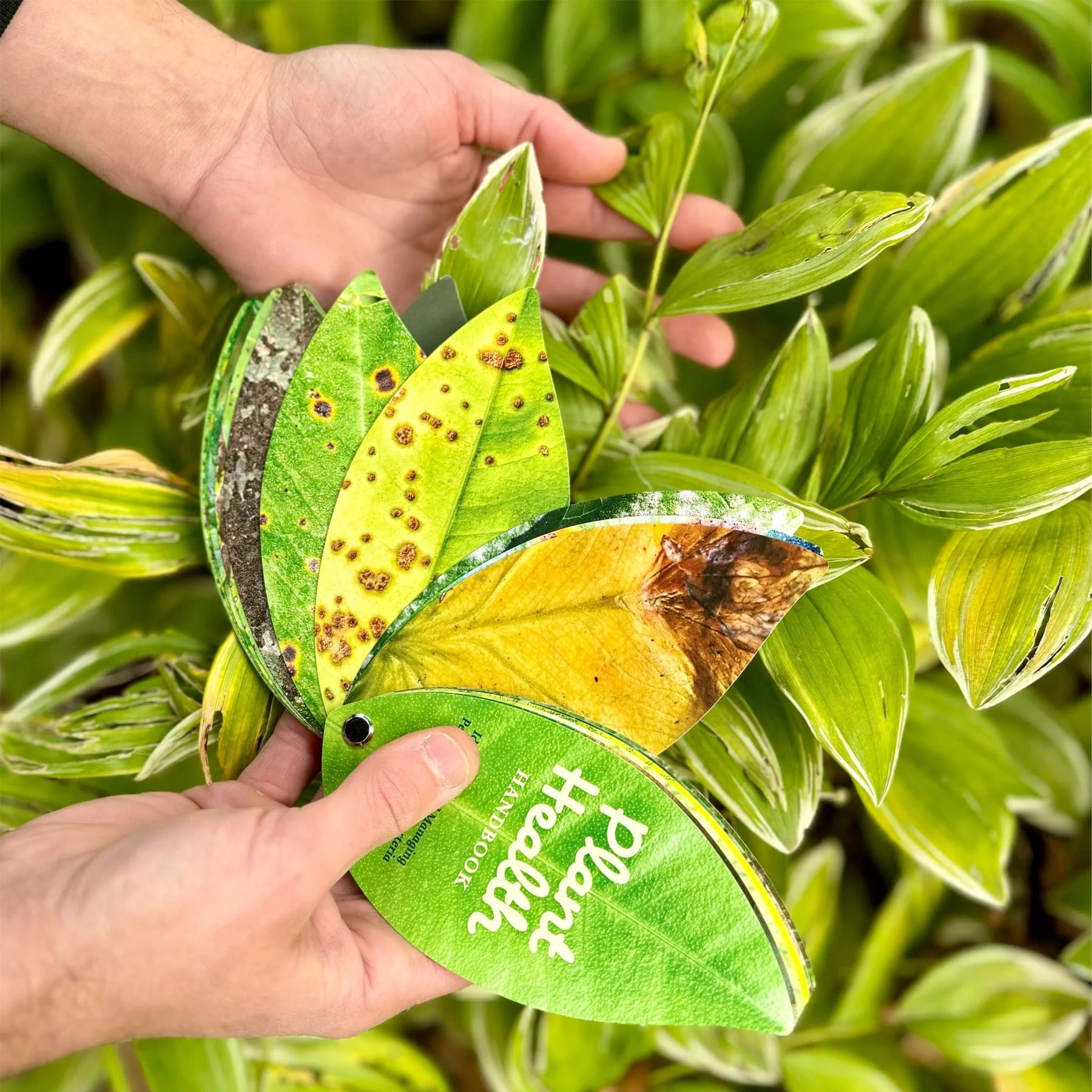 Plant health handbook - Image 5