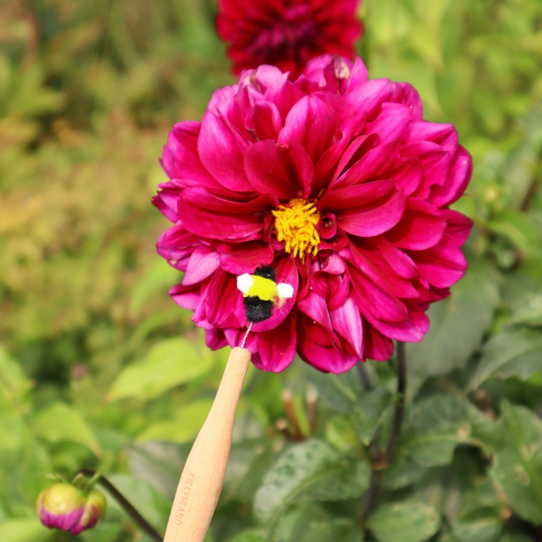 Pollination wand - Image 5